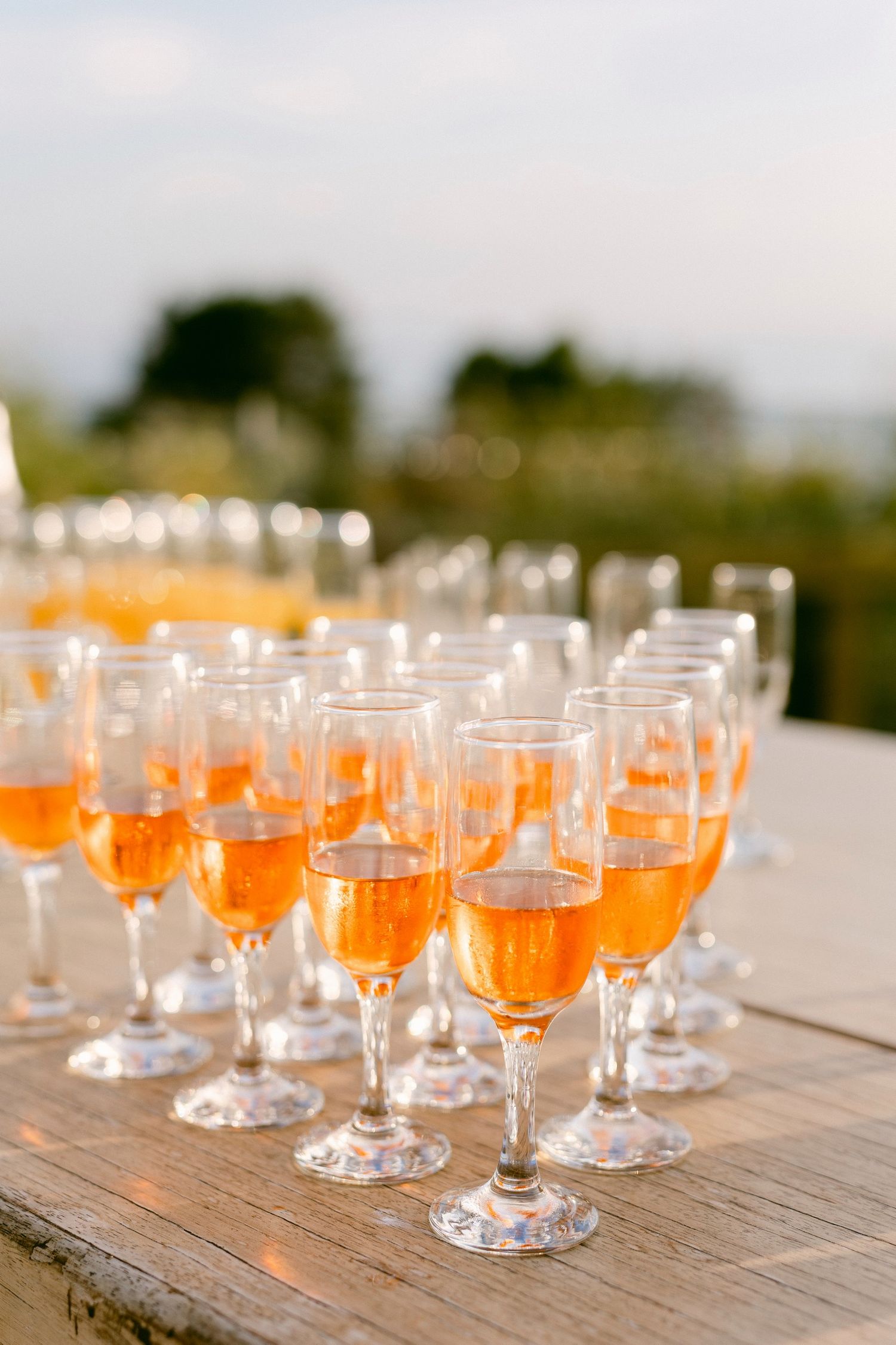 Multiple elegant champagne flutes filled with orange-peach colored cocktails arranged on a rustic wooden table outdoors.
