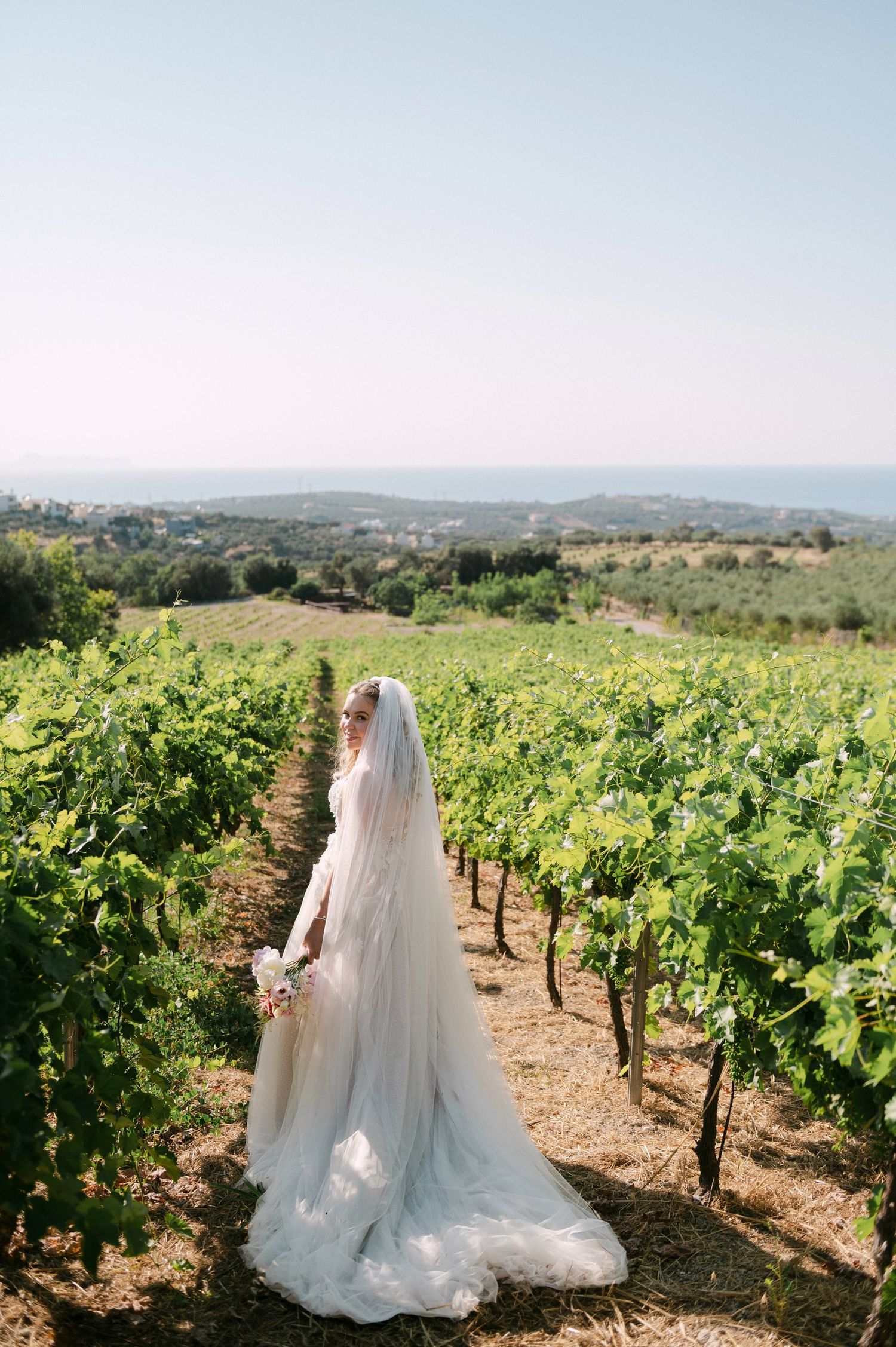 A bridal figure in a flowing white gown and veil stands among rows of green grapevines at a scenic vineyard.