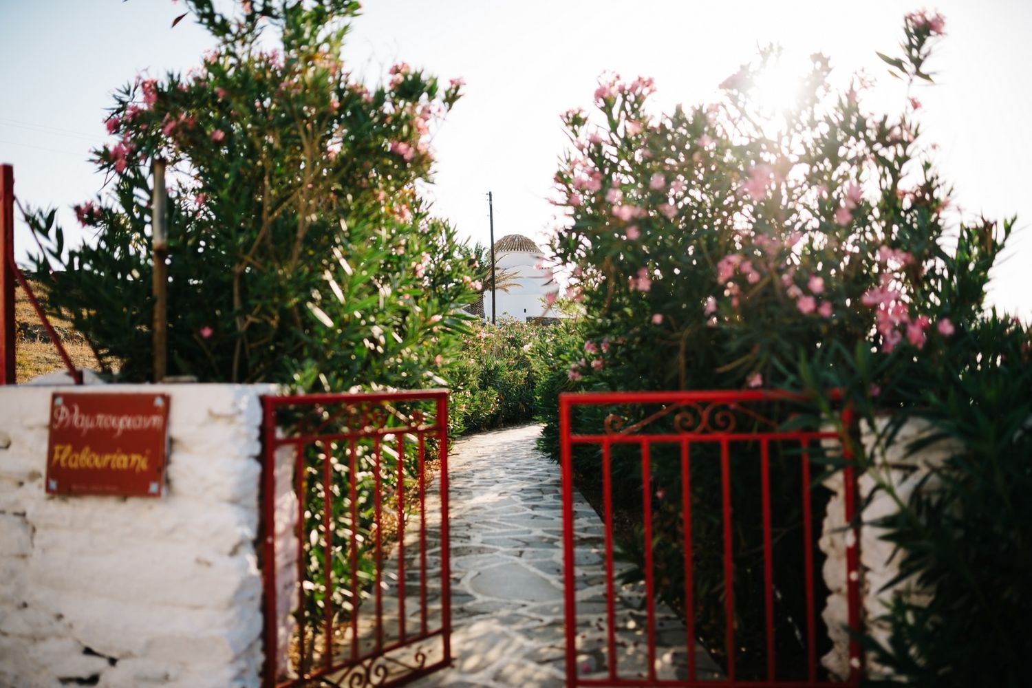 Rustic entrance gate with pink flowers and white walls leading to a Mediterranean garden pathway.