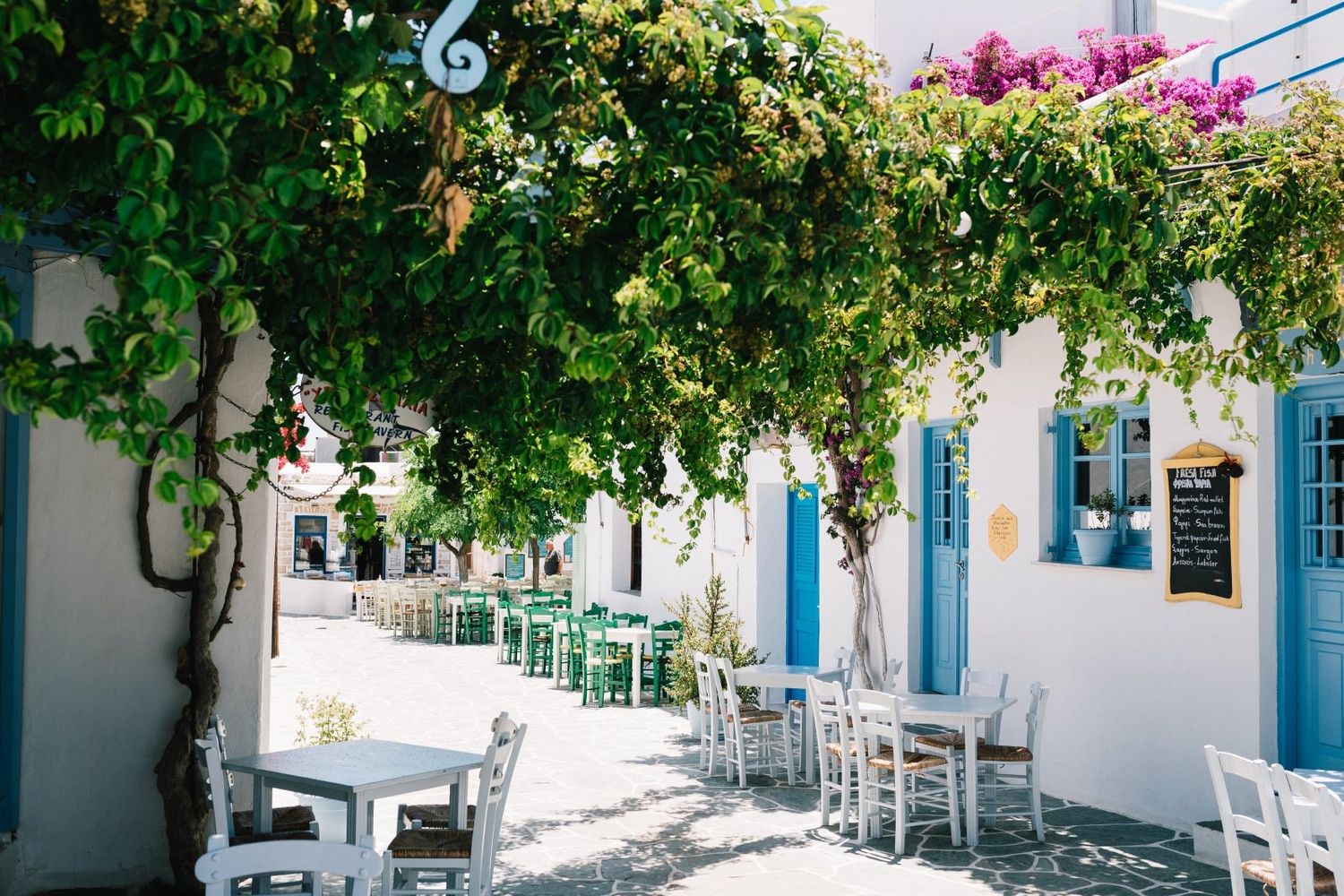 Charming Greek taverna with blue trim and climbing bougainvillea creating natural shade.