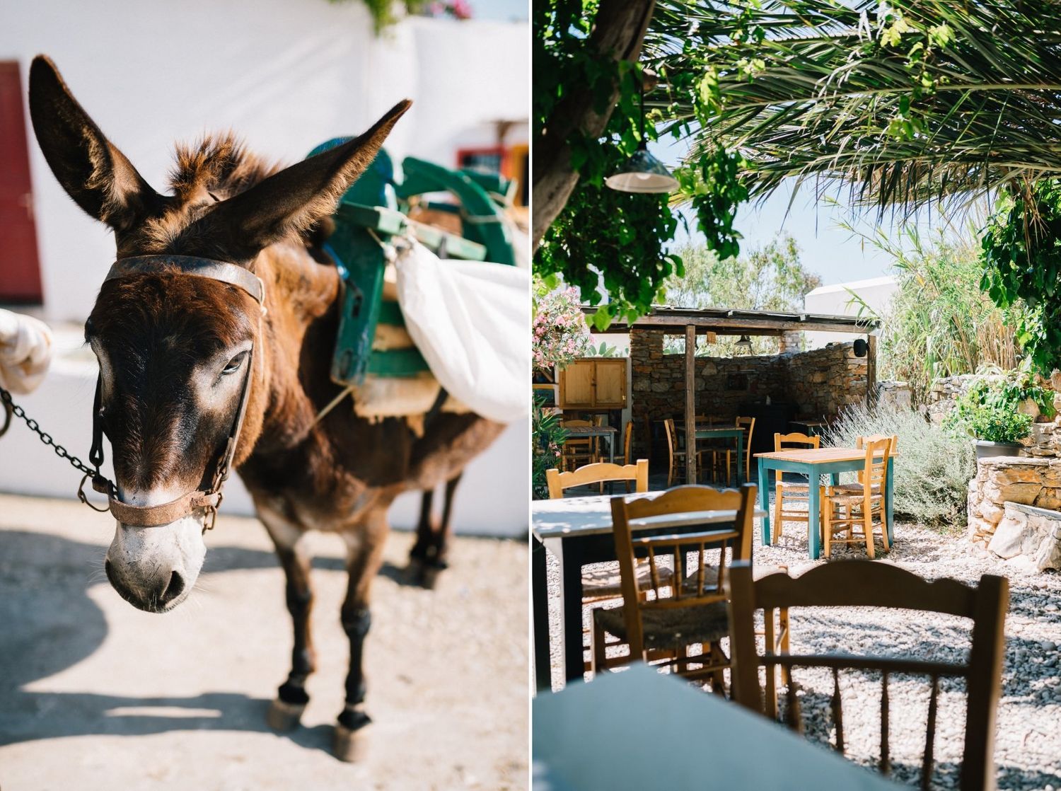 Rustic Mediterranean scene with donkey and outdoor cafe seating area.