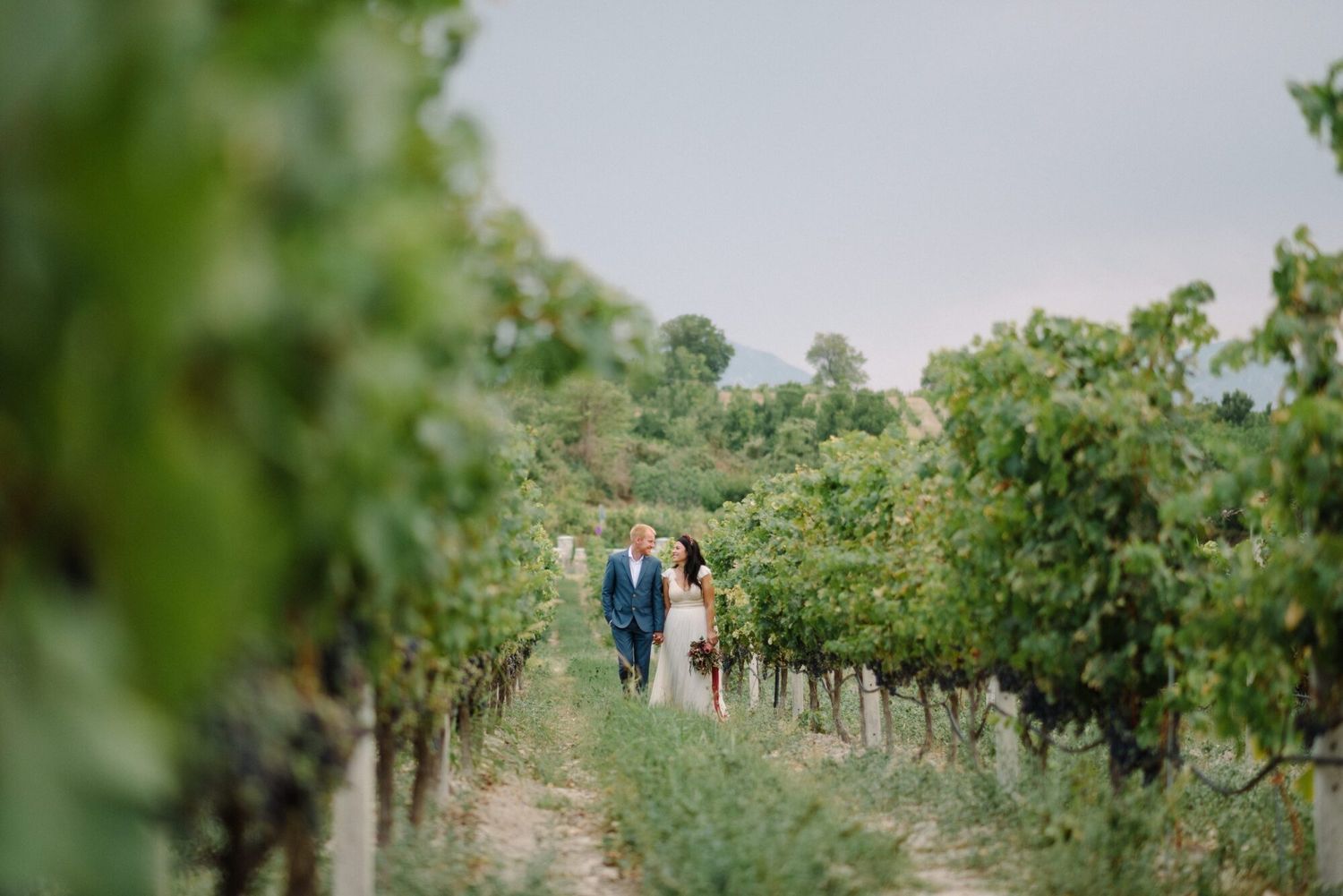 Soft-focus view through vineyard rows shows distant figures walking between grapevines on a sunny day.