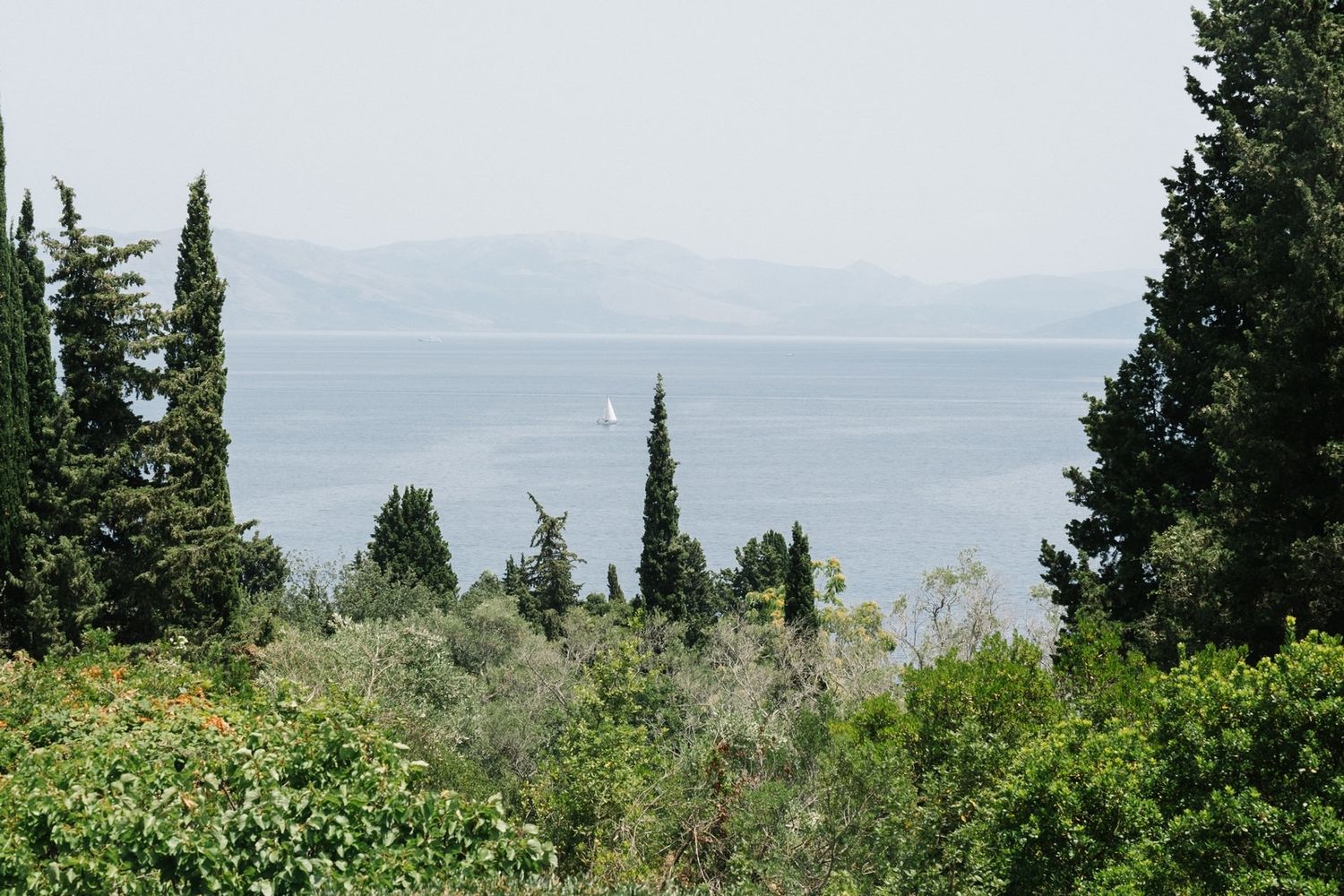 Scenic Mediterranean coastal view through cypress trees and olive groves.