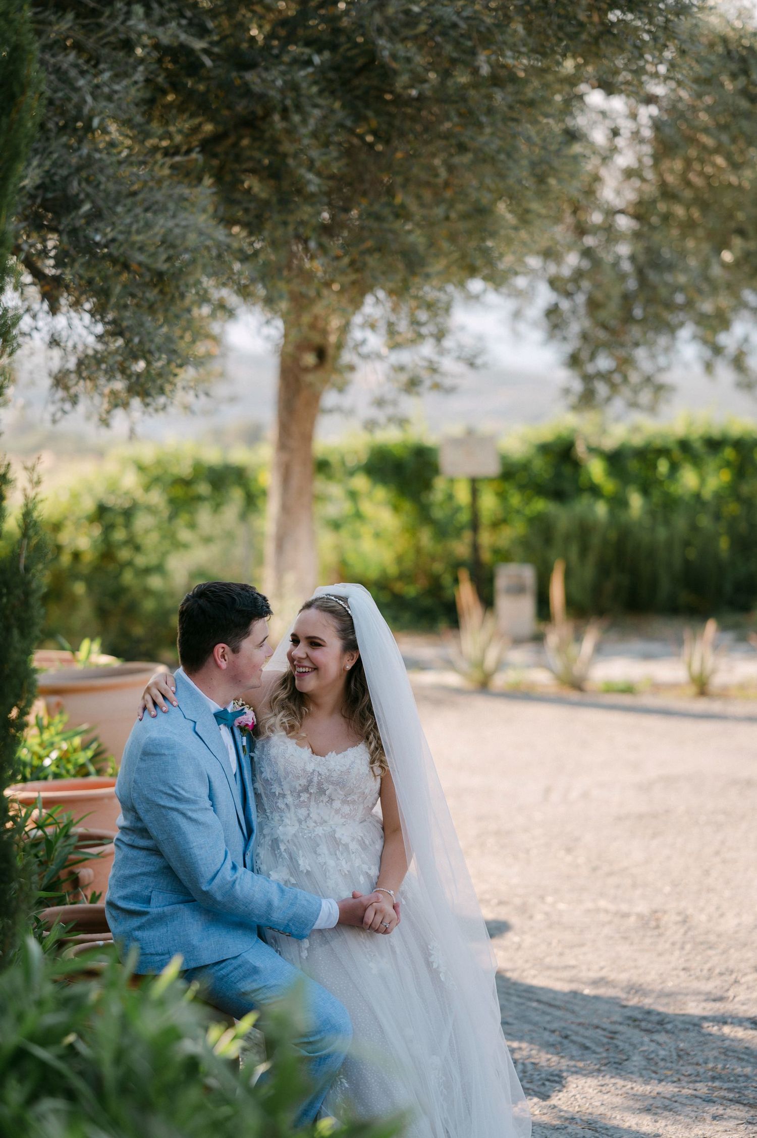 A romantic outdoor photoshoot featuring a couple sharing tender moments on a gravel path surrounded by olive trees.