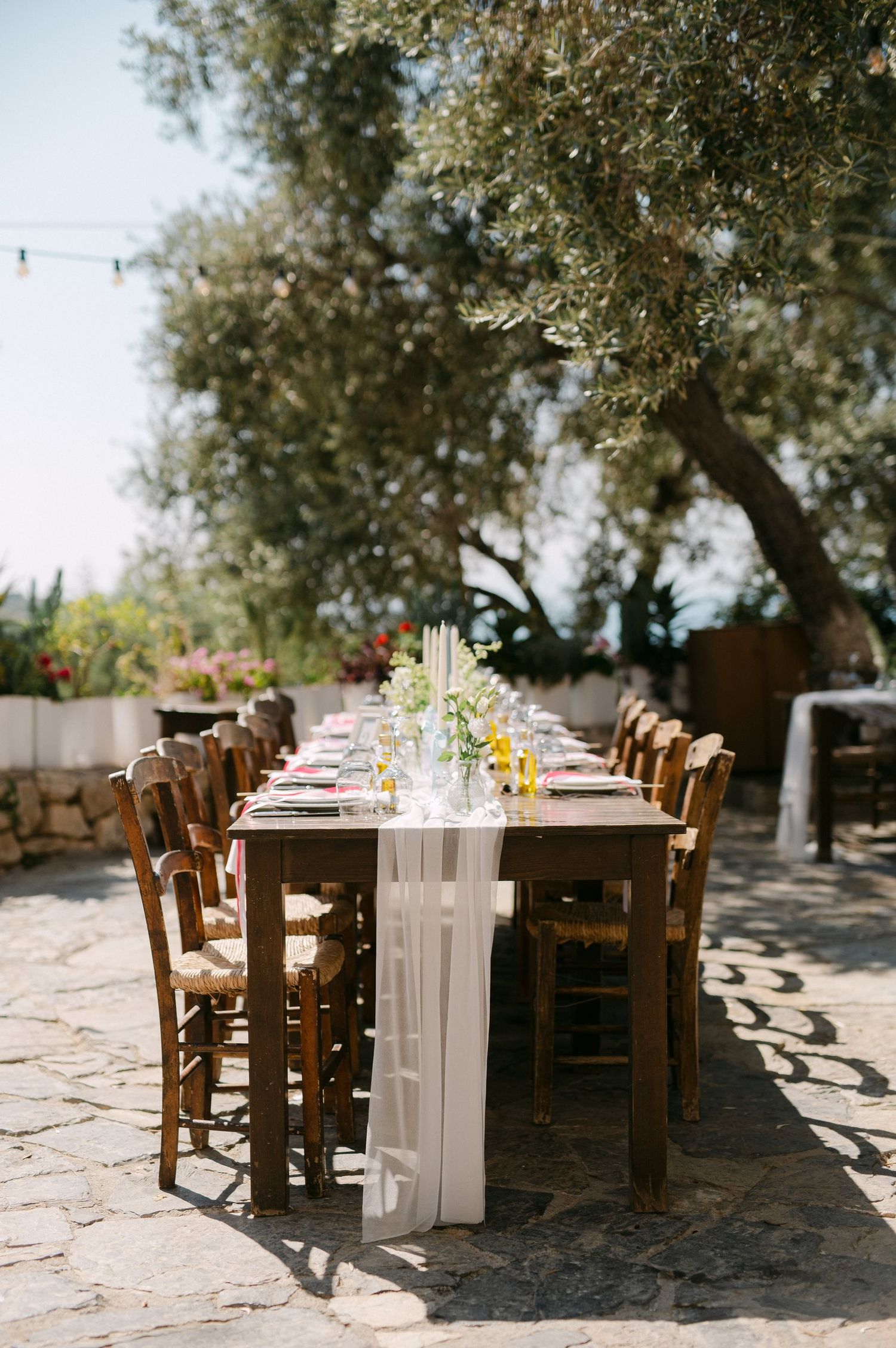 Rustic outdoor dinner table settings with wooden chairs under olive trees creating dappled sunlight patterns.