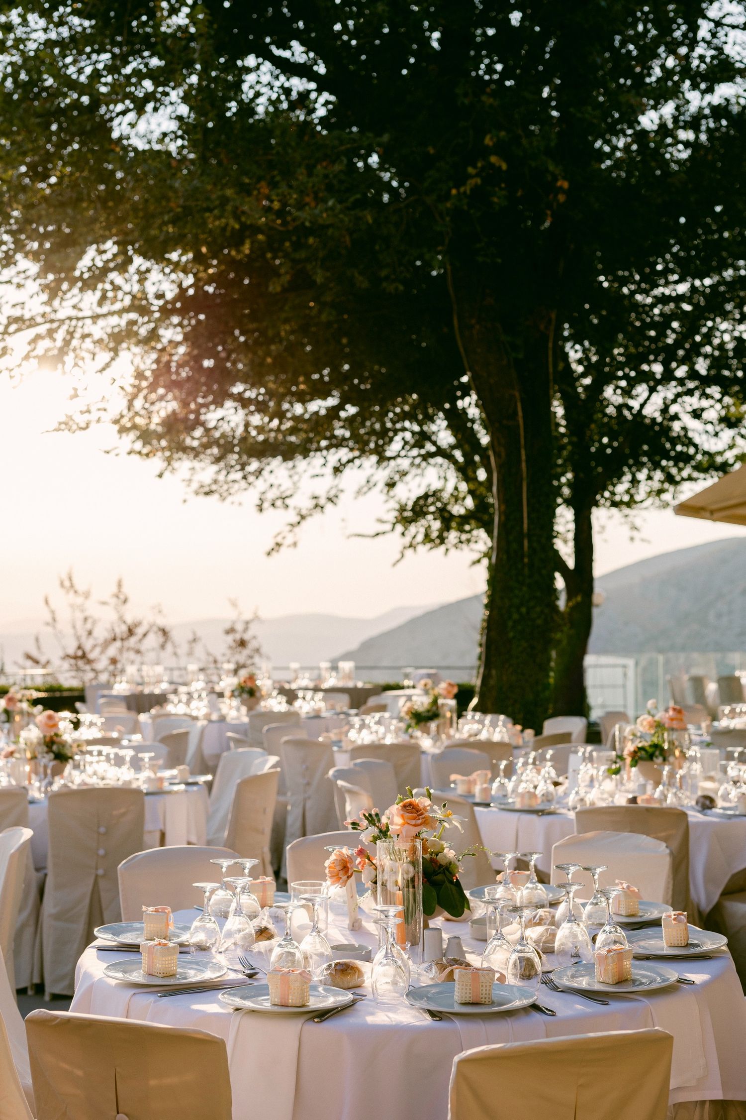 Elegant outdoor wedding reception tables set under a large tree with mountain views and soft sunset lighting in the background.