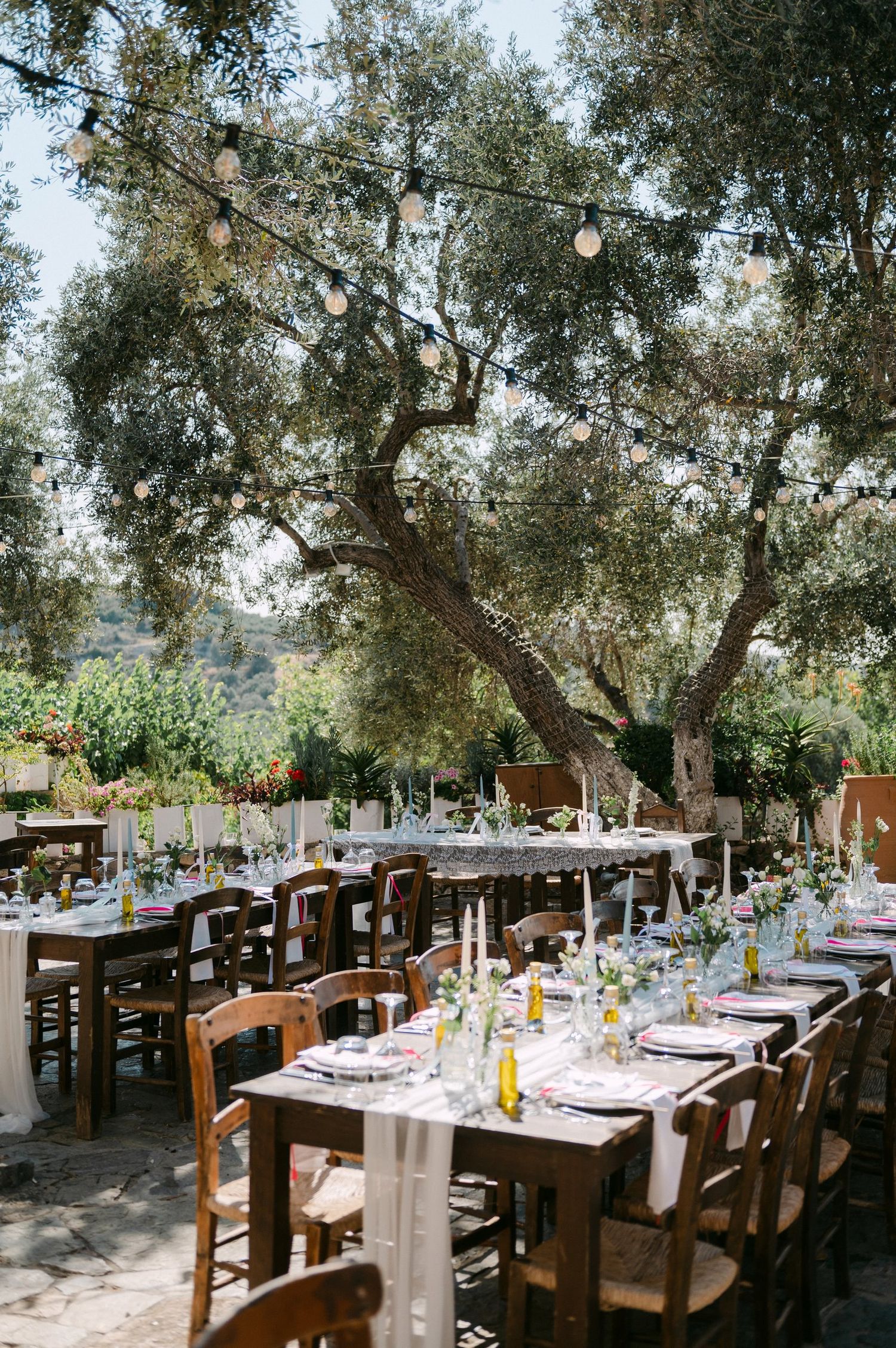Rustic outdoor wedding reception tables set under olive trees with string lights and white linens.
