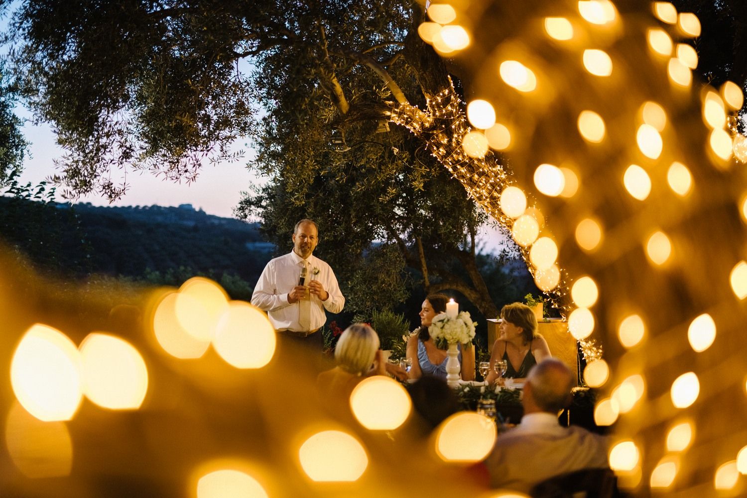 agreco farms in crete wedding reception speeches with fairy lights