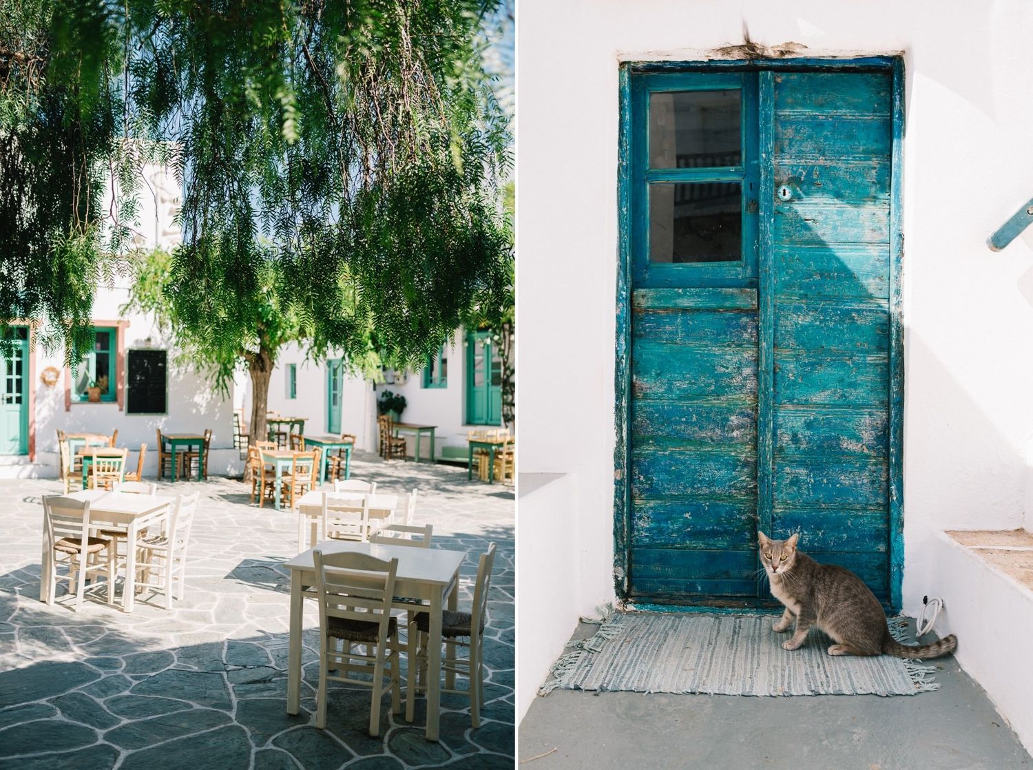 Quaint outdoor cafe with wooden furniture and turquoise door featuring a cat in Greece.