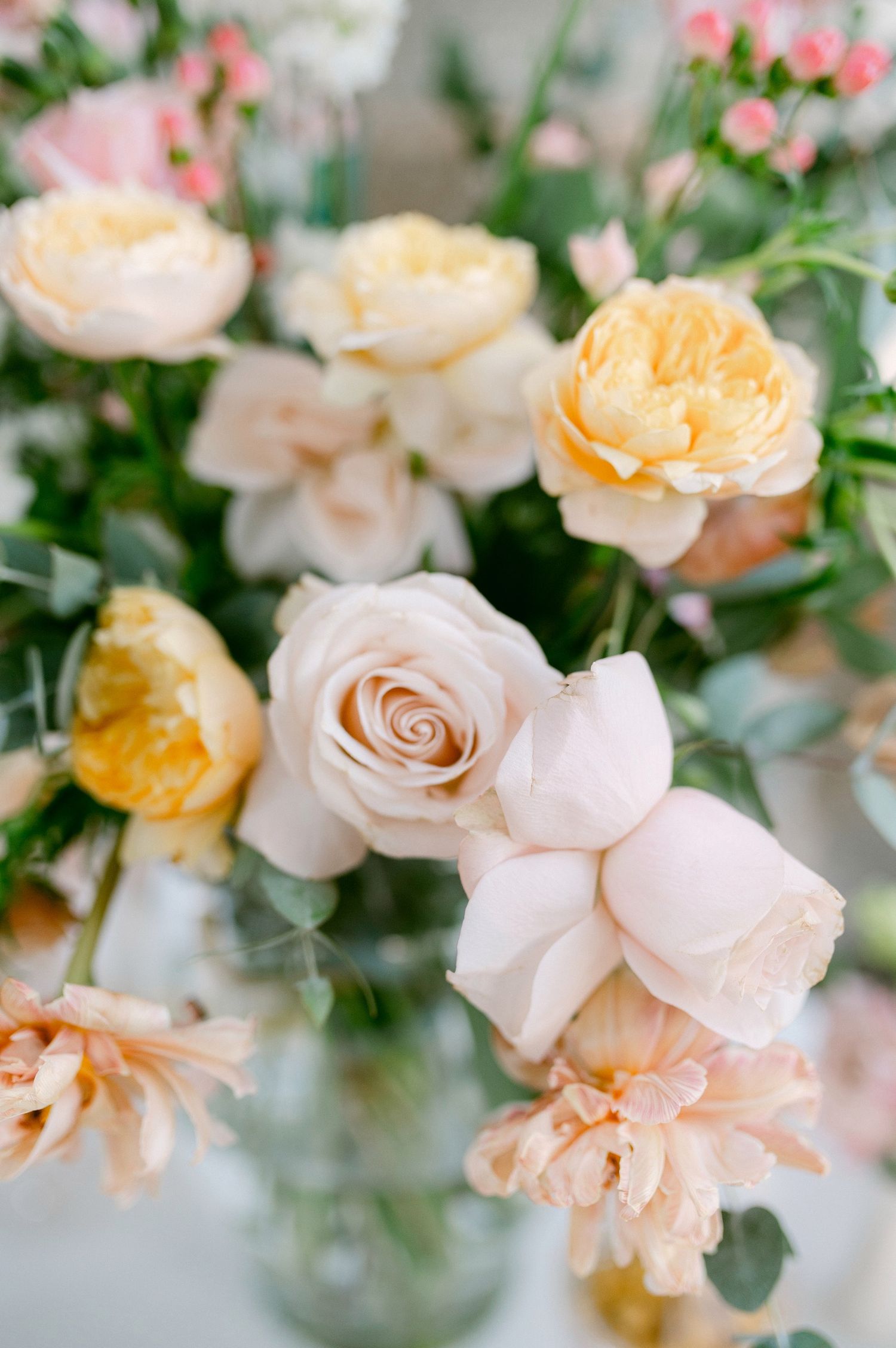 Soft peach and cream garden roses arranged in an elegant floral bouquet with delicate green foliage.