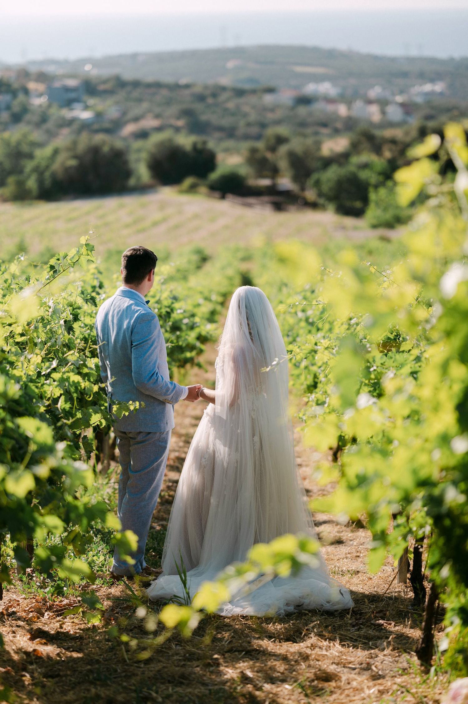 A couple in wedding attire walks through scenic hillside vineyard rows during a beautiful outdoor photoshoot.