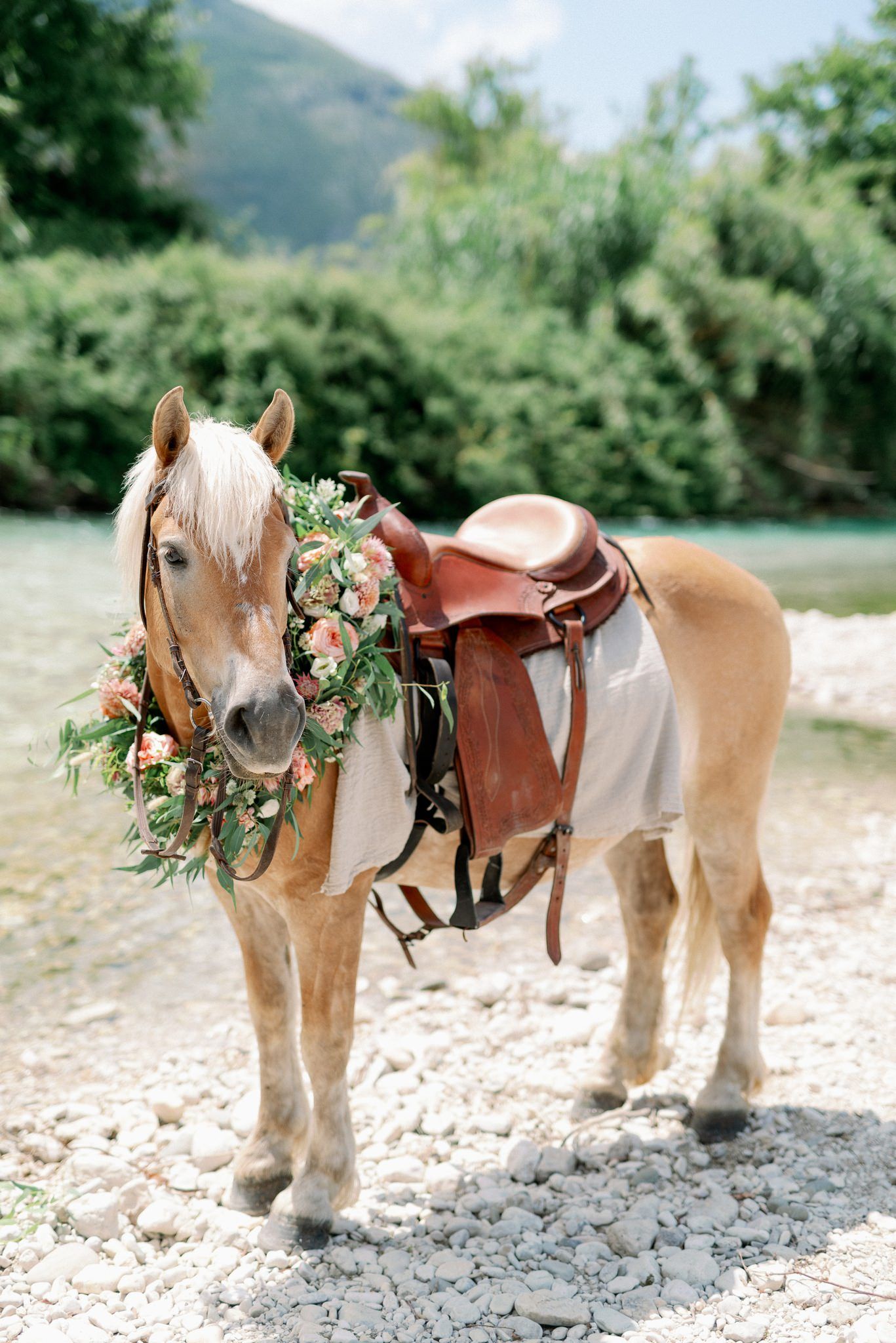 horse in acheron river greece