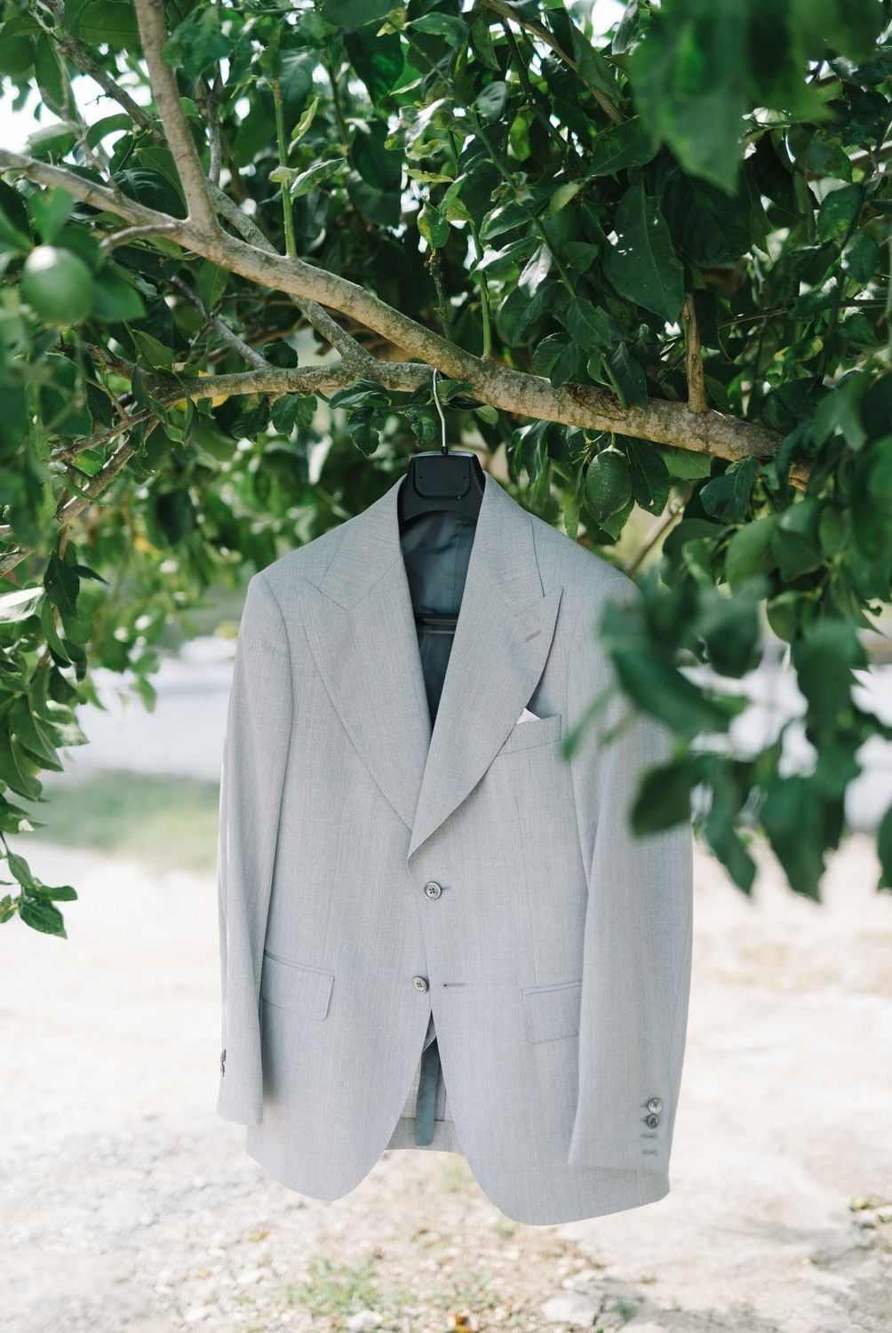 Light gray suit jacket hanging from tree branch with green leaves.