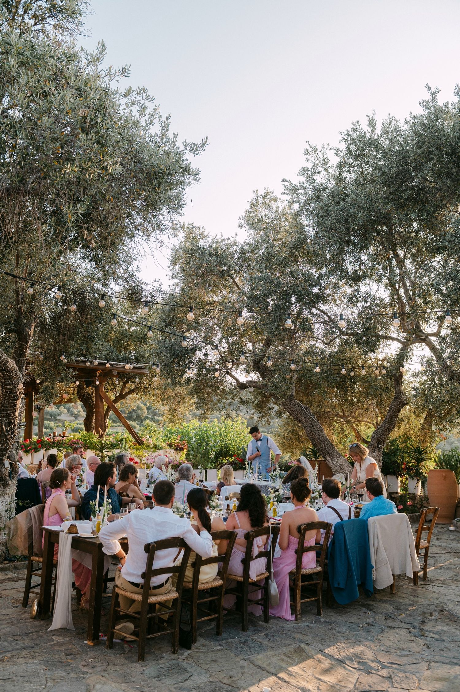 Guests dine at long rustic tables set under olive trees during an outdoor wedding reception in Mediterranean setting.