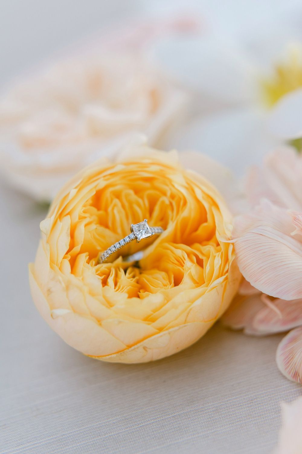 A delicate diamond engagement ring nestled in the petals of a peach-colored garden rose bloom.