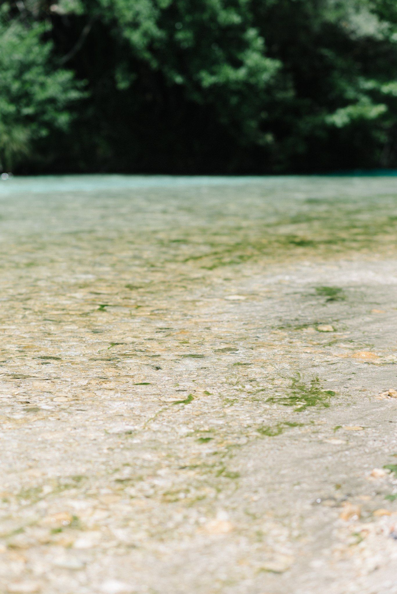 Sandy beach area with blurred blue water and green trees in background.