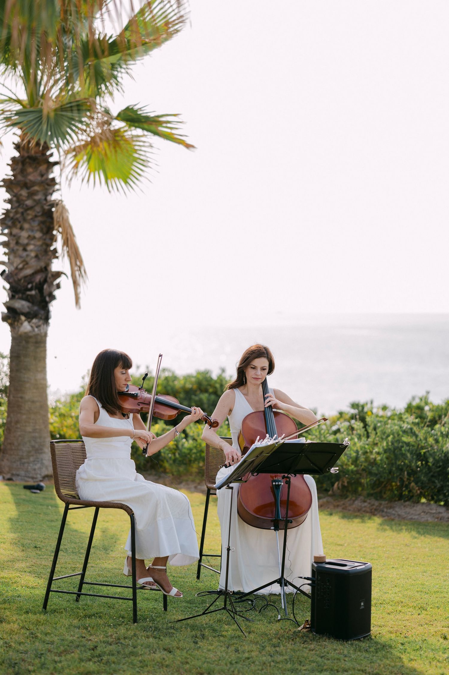 Musicians perform with string instruments on an outdoor lawn with palm trees at sunset.