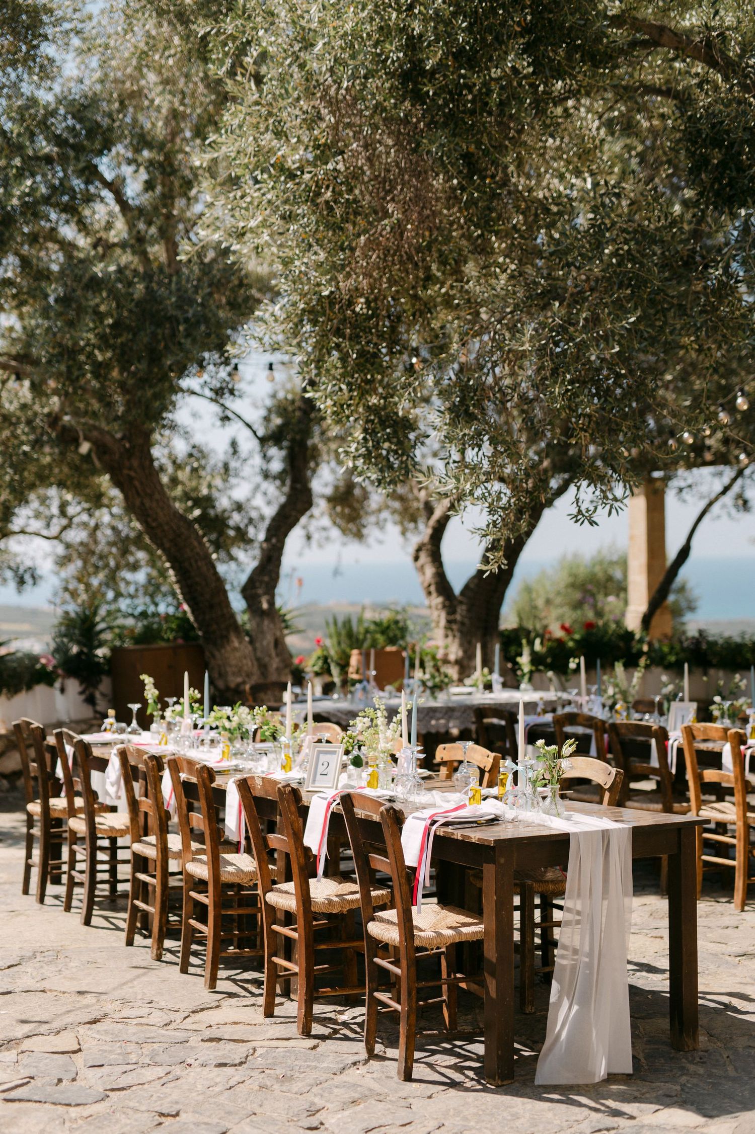 Long rustic wooden tables and chairs set under olive trees for an elegant outdoor Mediterranean wedding reception.