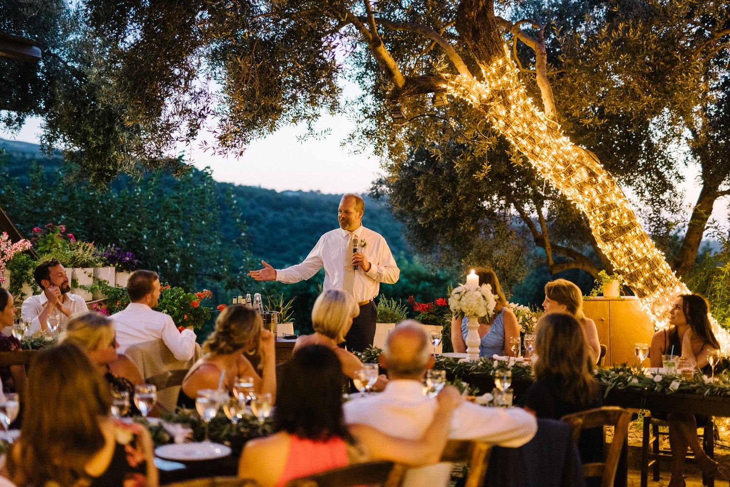 agreco farms in crete wedding reception speeches with fairy lights