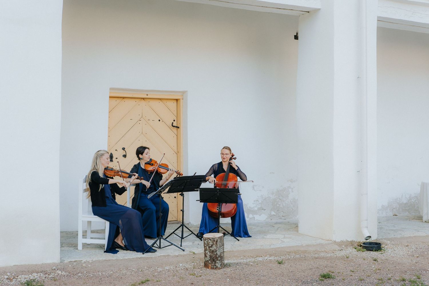 pulmafotograaf, pulmafotograaf tallinnas, fotograaf tallinnas, pulmafotograafid eestis, eesti fotograafid, pulmapildid