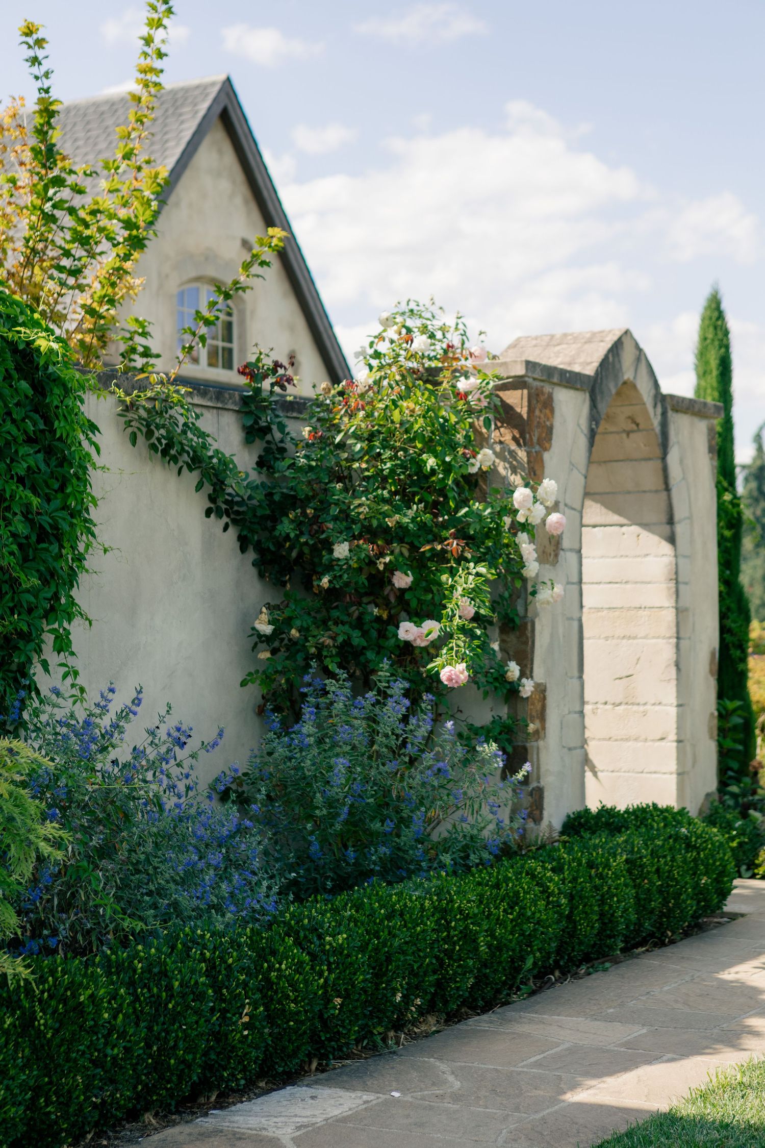 Garden path with stone walls and blooming blue flowers alongside climbing roses and cypress trees.