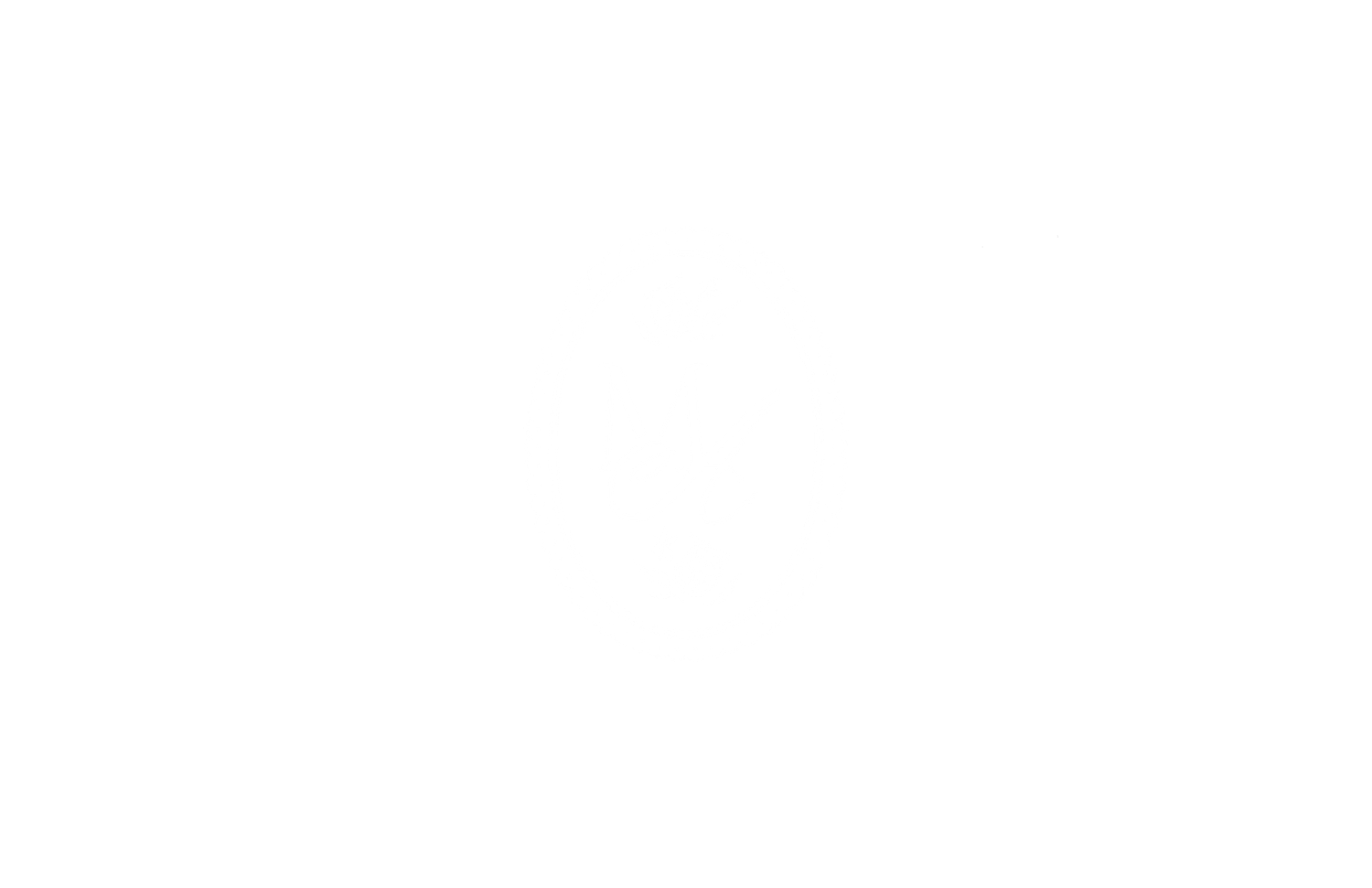 A plain white blank image with no visible content or subjects present.