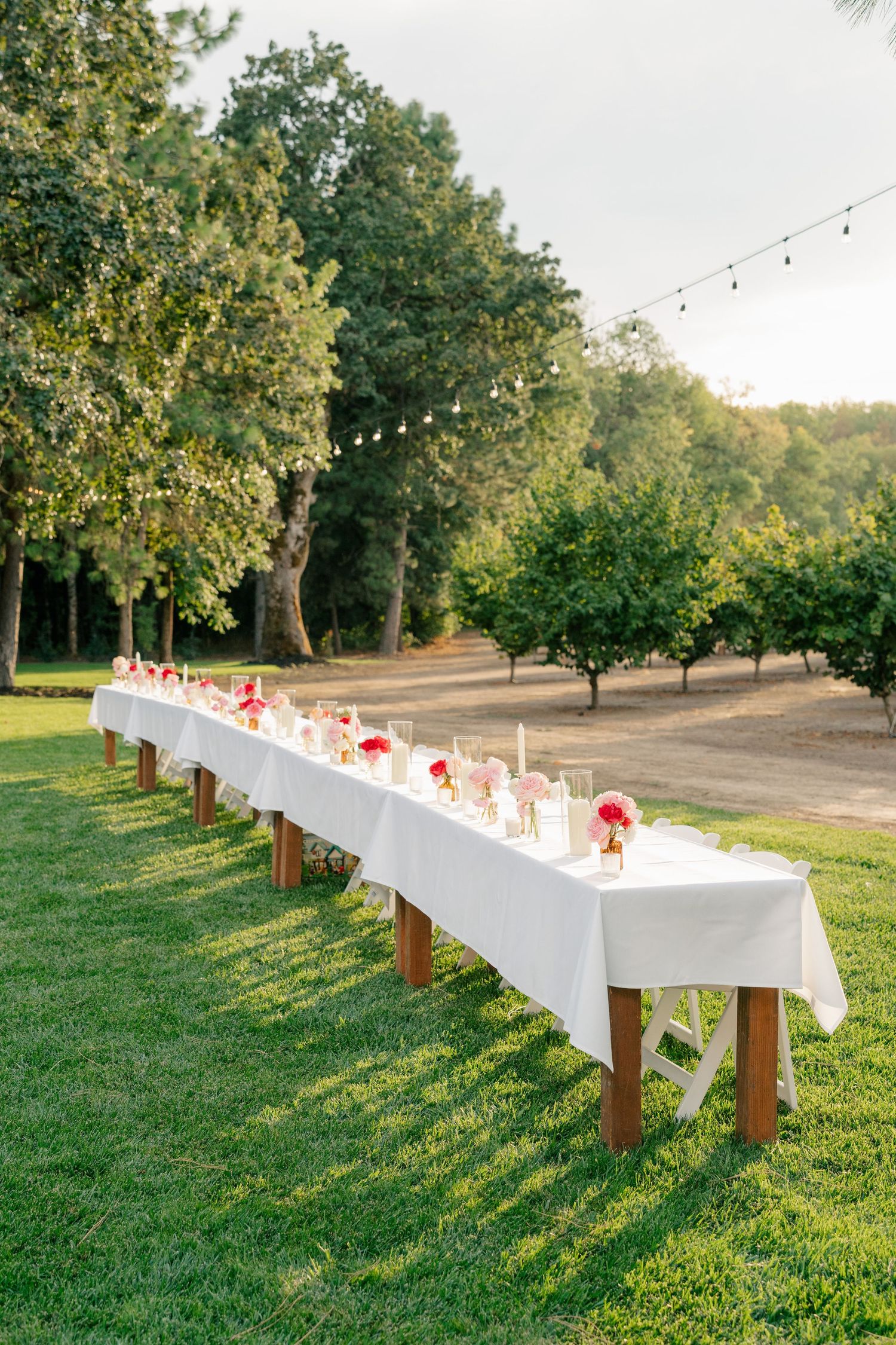 Elegant outdoor wedding reception with long white-draped table, pink floral centerpieces, string lights, and lush green trees.