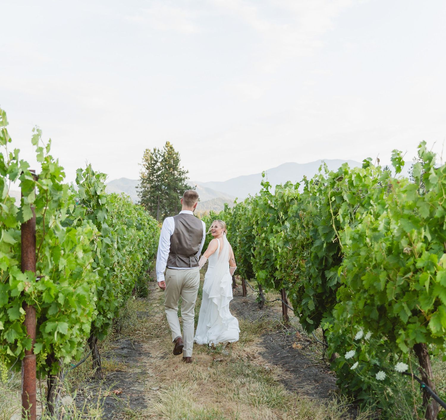 Two people walk hand in hand through lush green vineyard rows in a scenic mountain valley on a bright summer day.