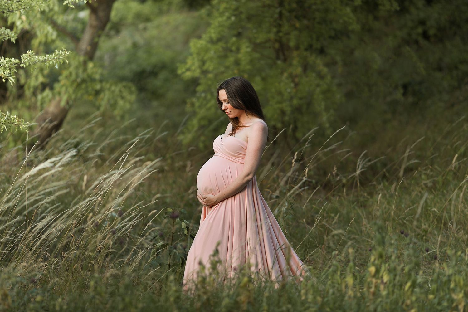 Gravid