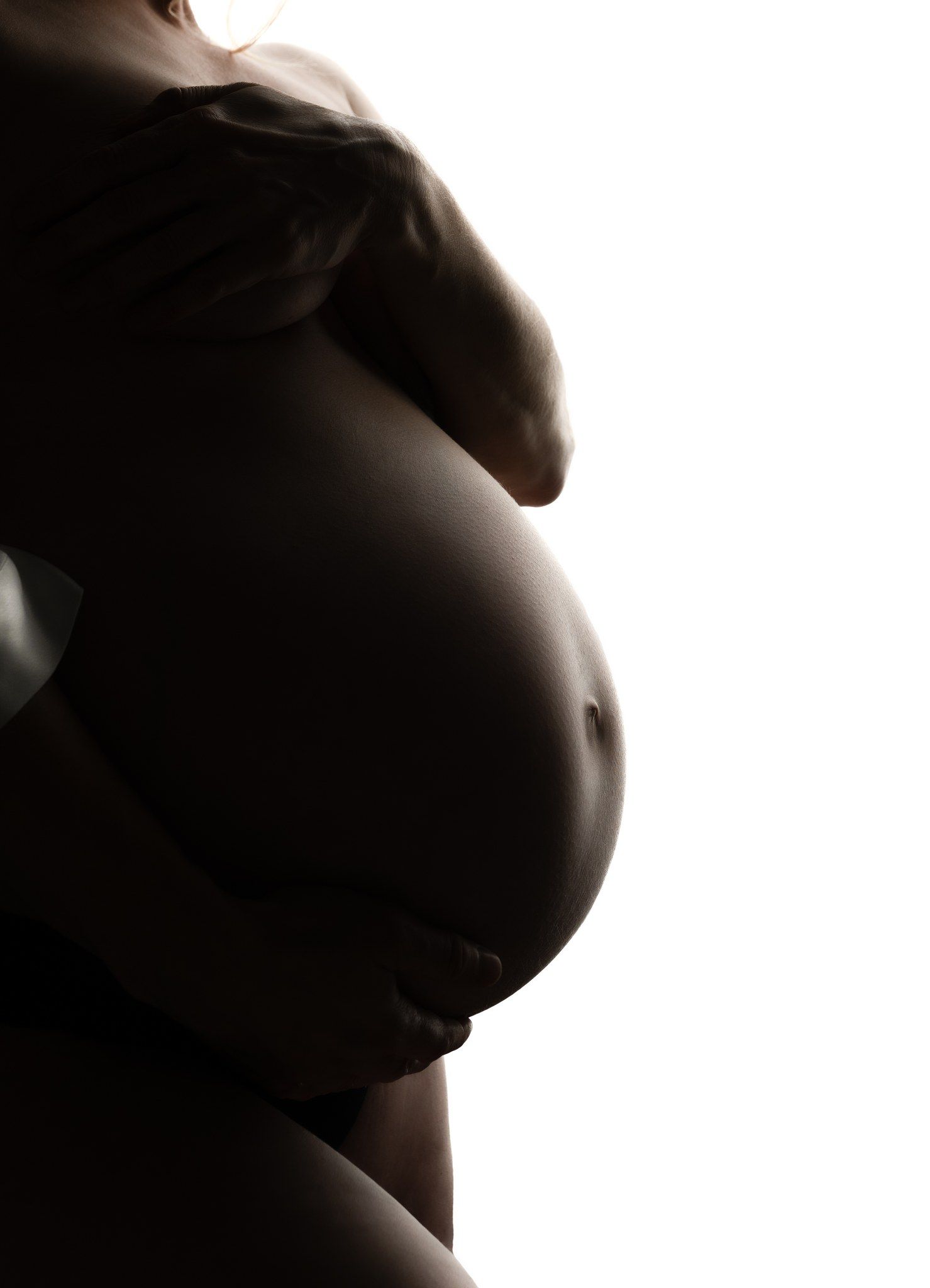 Gravid
