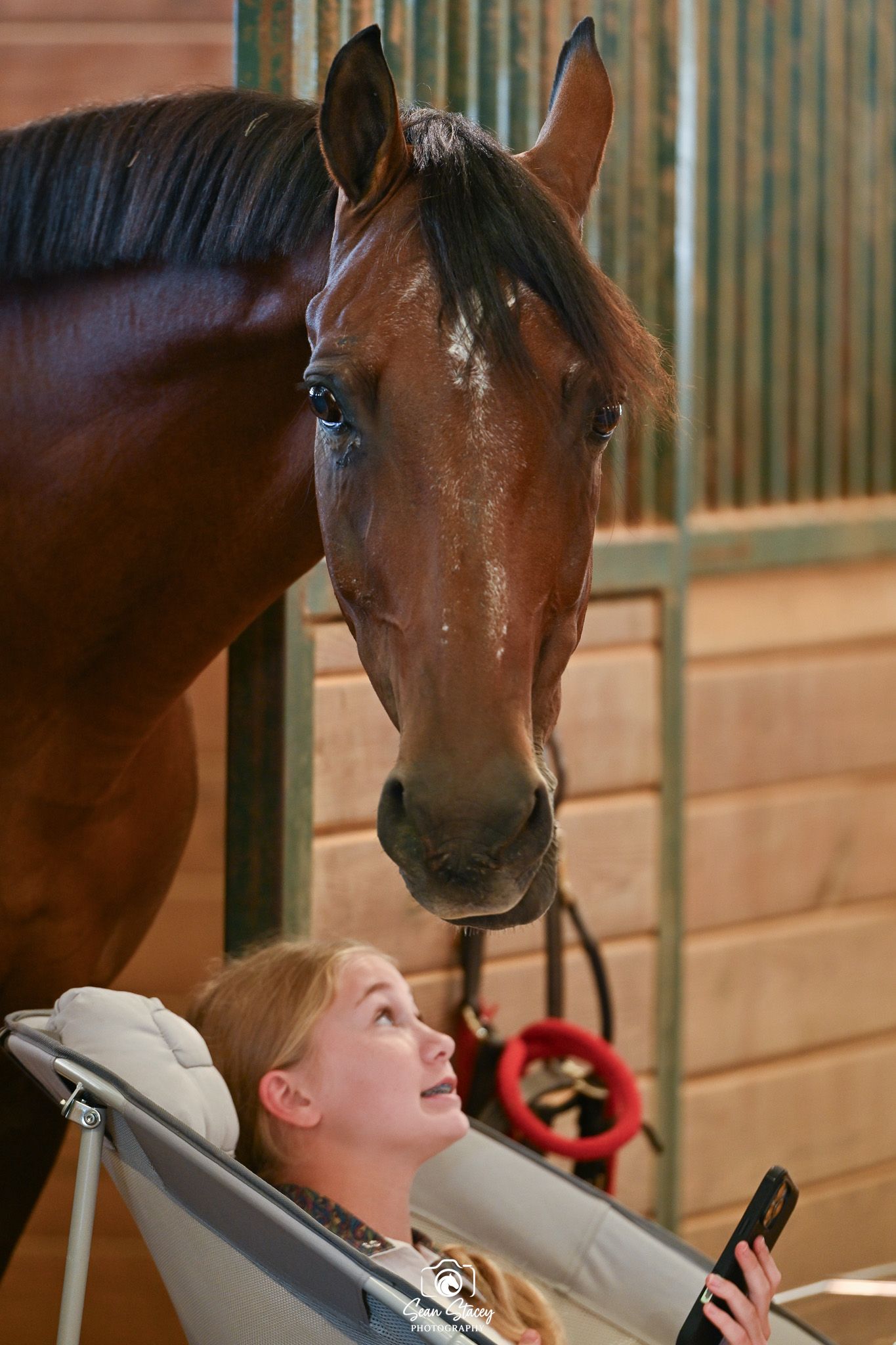 A brown horse in a stable leans down to interact with someone laying on a bench.