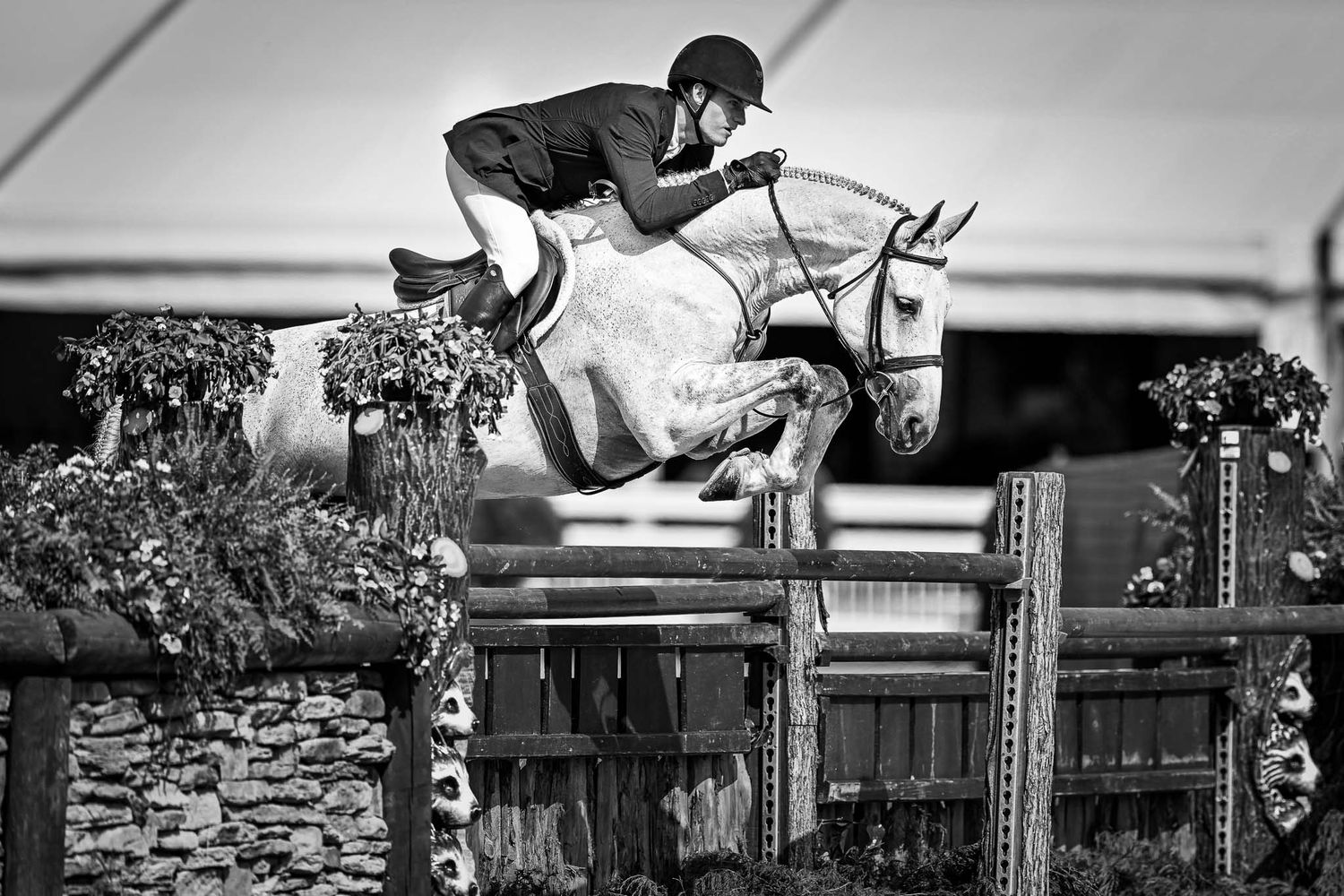 Photography of a pro hunter derby rider at equestrian show at Kentucky Horse Park — Sean Stacey Photography