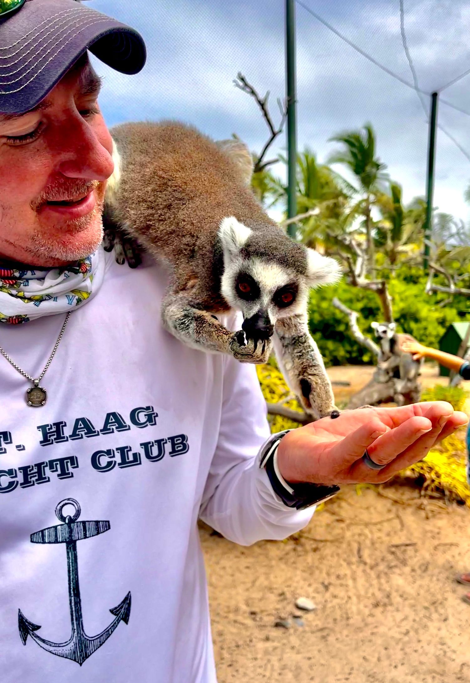 A lemur perches on someone wearing a white t-shirt with an anchor design in a tropical outdoor setting.