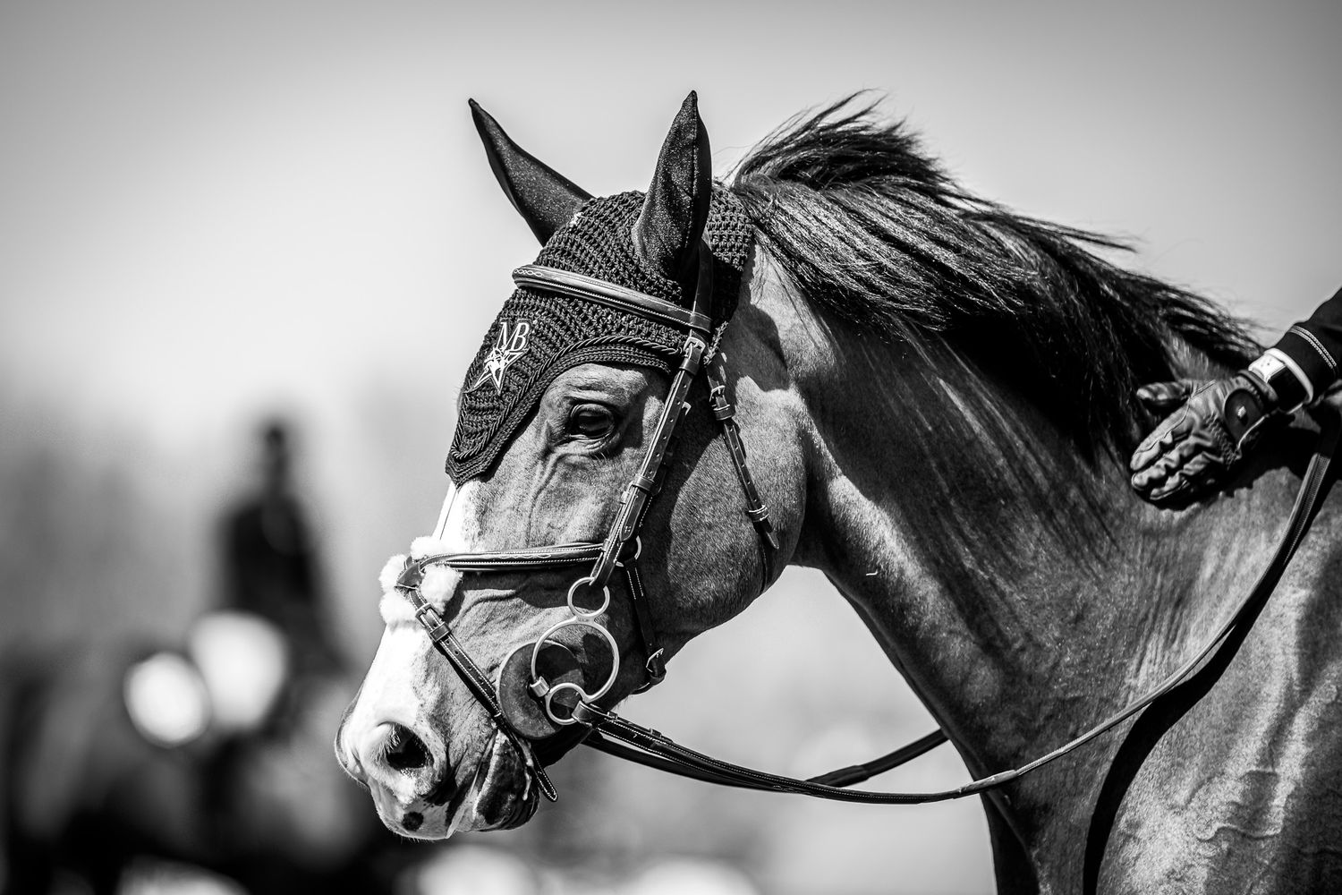 Young rider sharing a calm moment with her horse before entering the ring