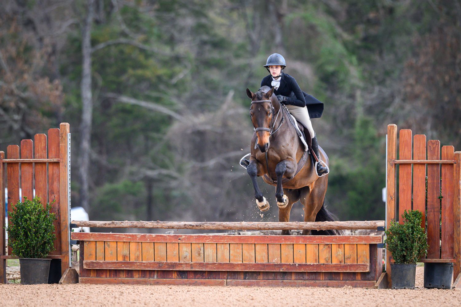 An equestrian clears a fence in a jumper competition taken by private show photographer, Sean Stacey