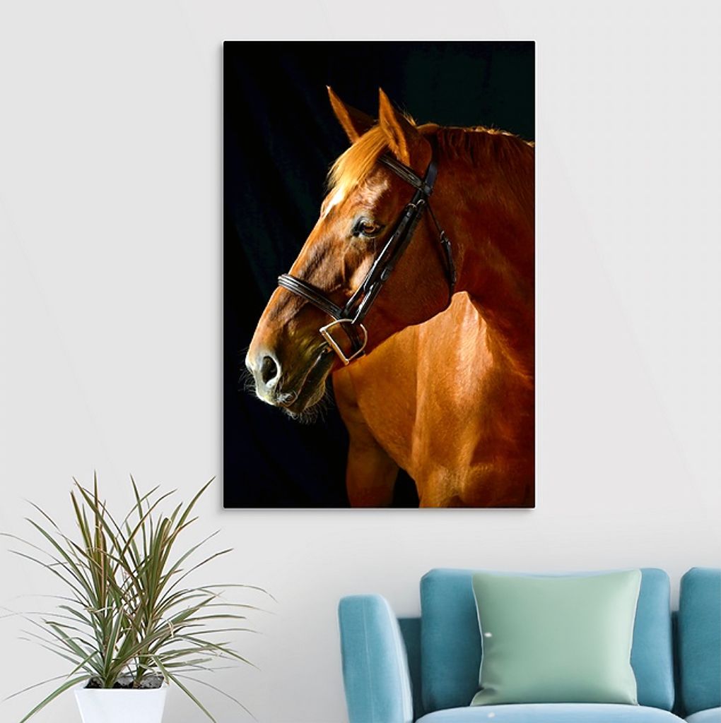 A chestnut brown horse portrait with black bridle against a dark background mounted on a light blue wall.