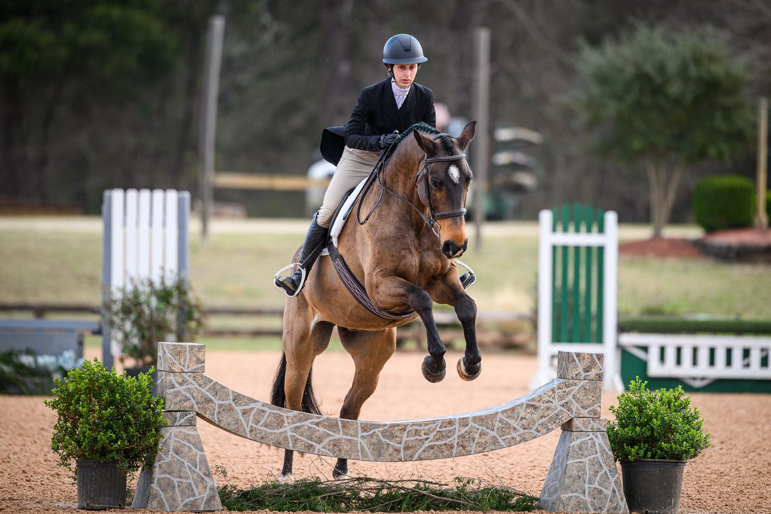 An equestrian clears a fence in a jumper competition taken by private show photographer, Sean Stacey