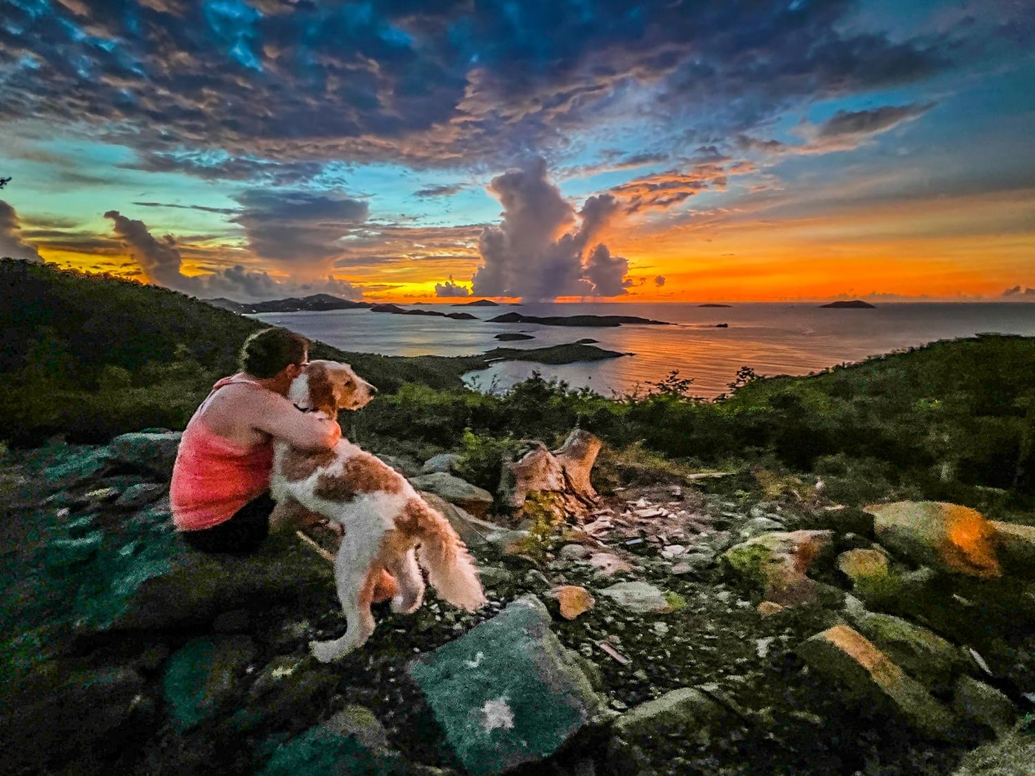 Scenic tropical Caribbean sunset with person and dog overlooking the ocean in St. John / St. Thomas, USVI