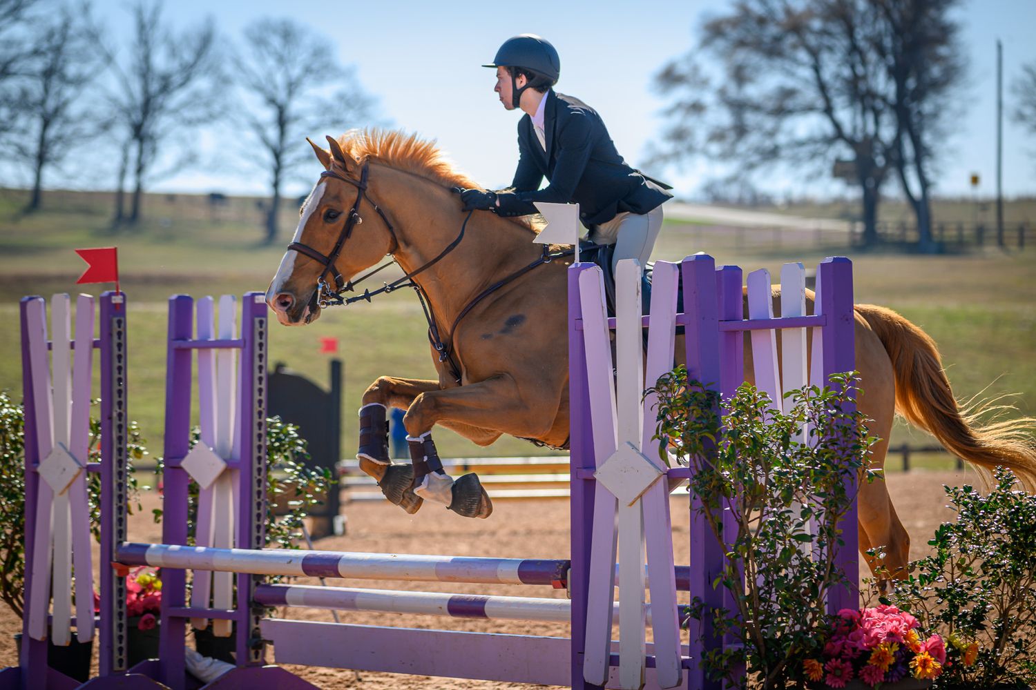Southlake Equestrian riding clearing a fence during a jumper competition at Texas Rose Horse Park taken by Sean Stacey.