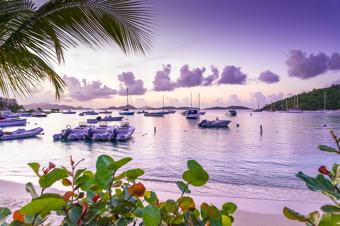 Tropical beach sunset with palm fronds, sailboats, and vibrant purple sky over calm Caribbean waters.