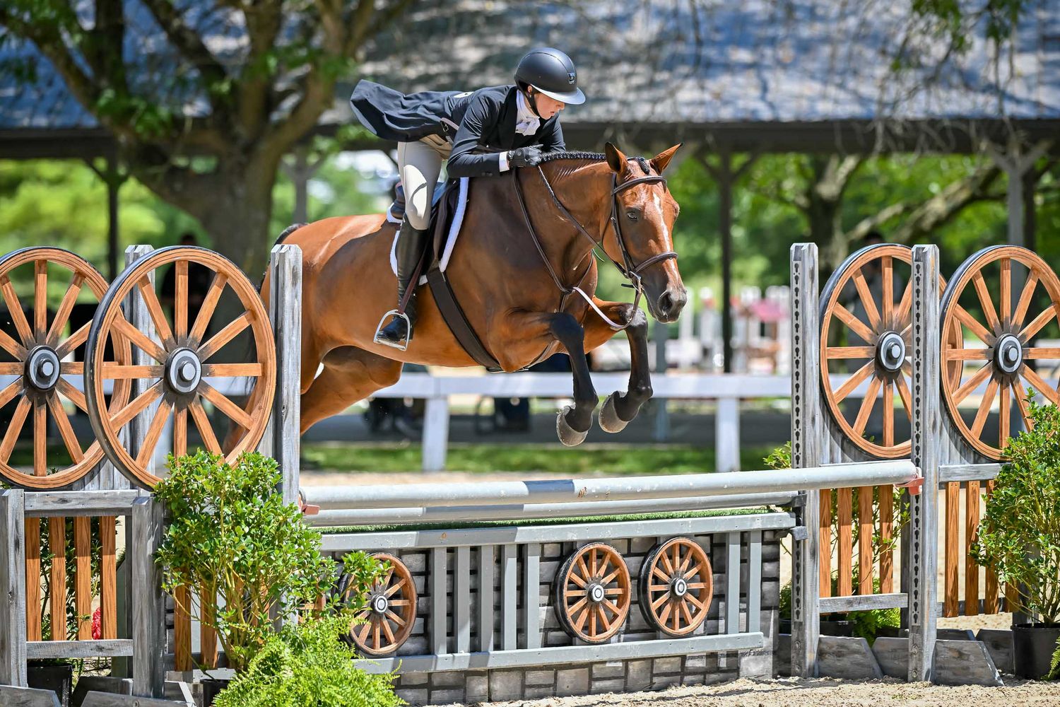 Sean Stacey photo of a horse and rider clearing a wooden fence during an equestrian show jumping competition at Kentucky Horse Park.