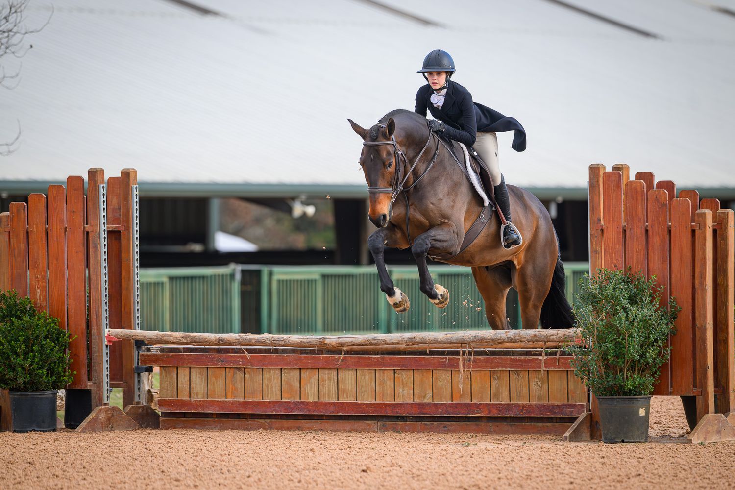A hunter clears a fence during a competition at Texas Rose Horse Park taken by photographer Sean Stacey.
