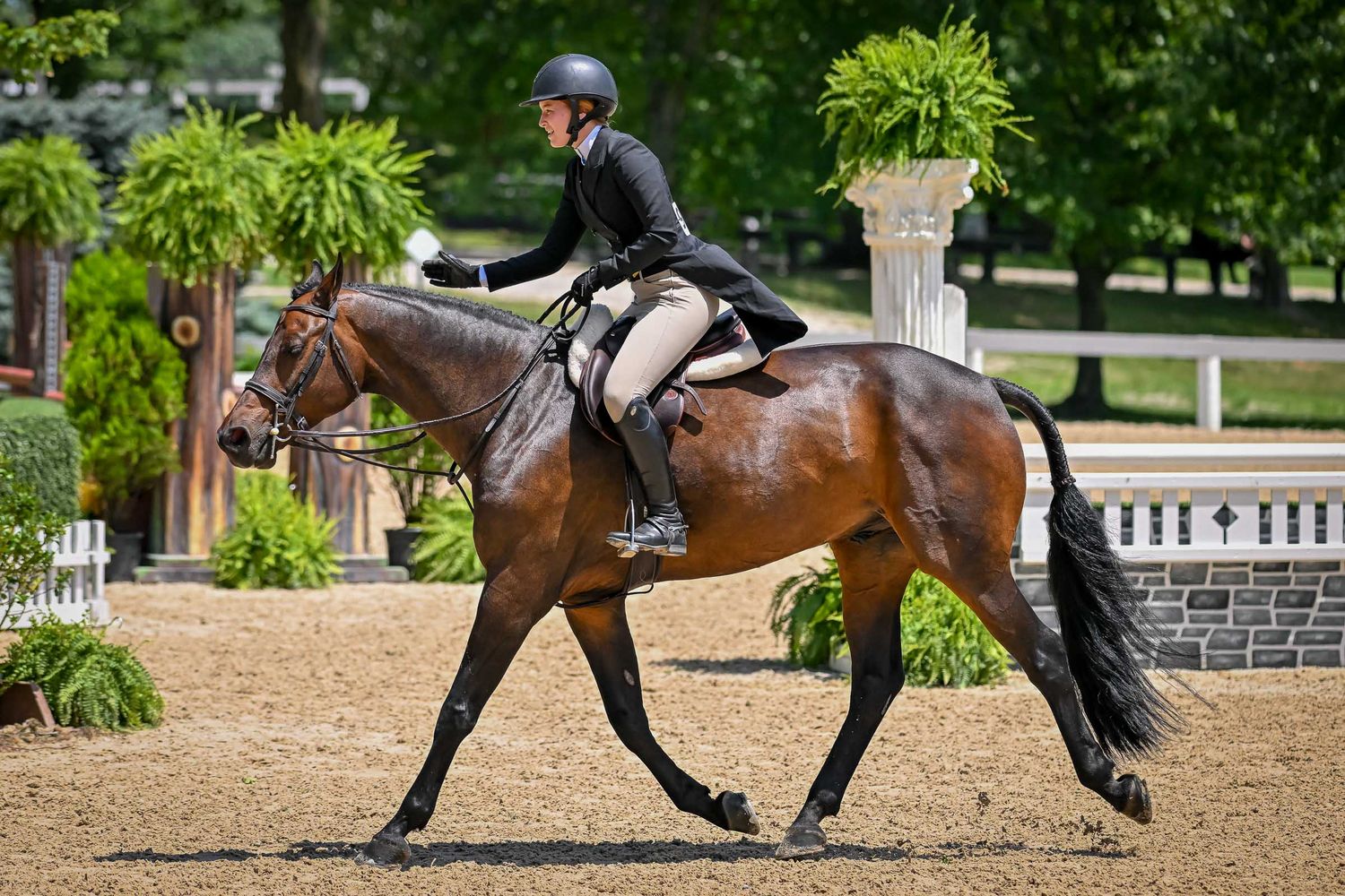 Sport horse demonstrating a trot during a derby competition at Kentucky Horse Park in a photo taken by Sean Stacey.