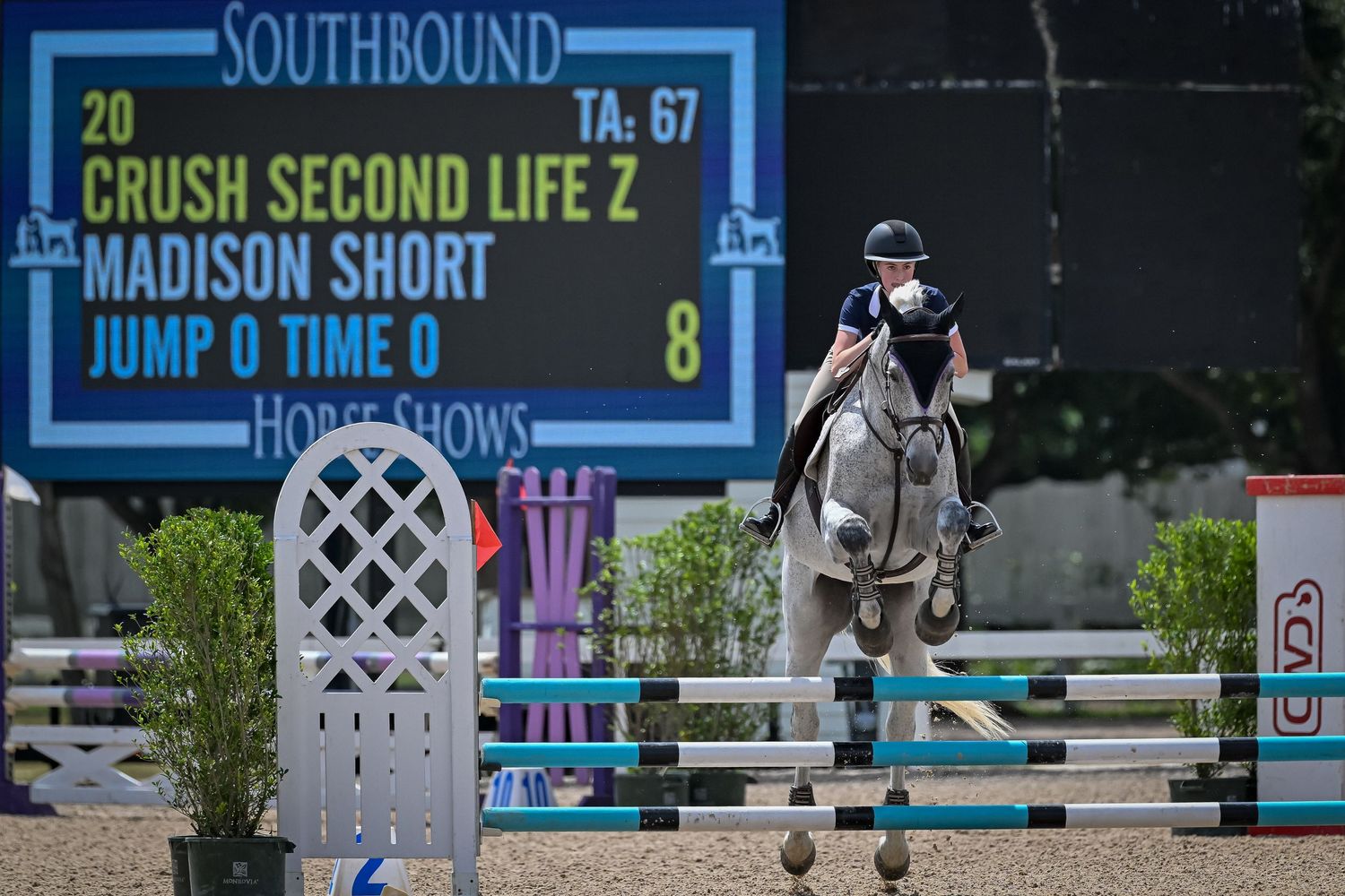 Private equestrian show coverage for riders and barns — Texas sport horse photographer at Great Southwest Equestrian Center