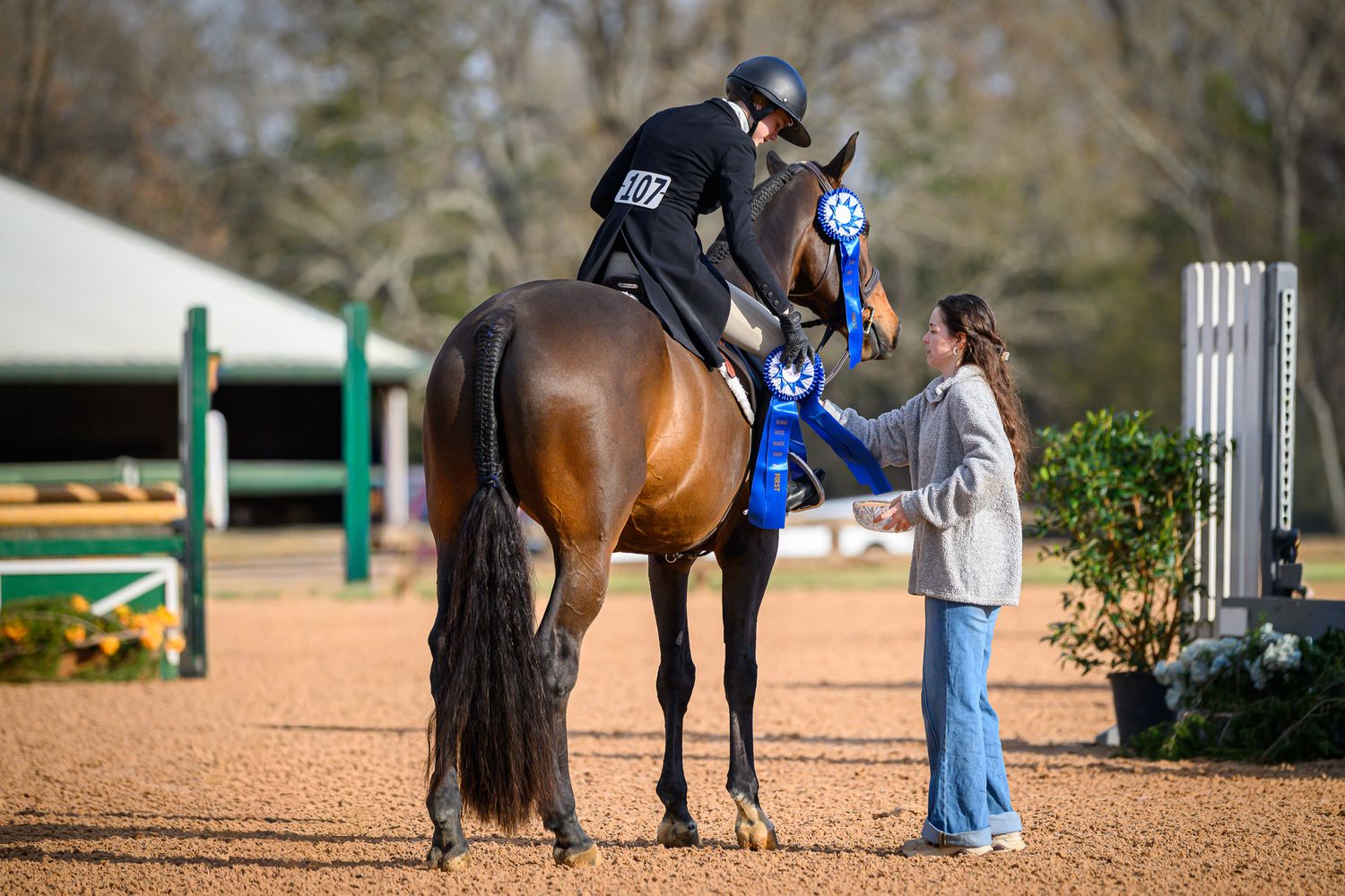 Blue ribbon celebration after a standout performance in the show ring taken by private horse show photographer Sean Stacey.