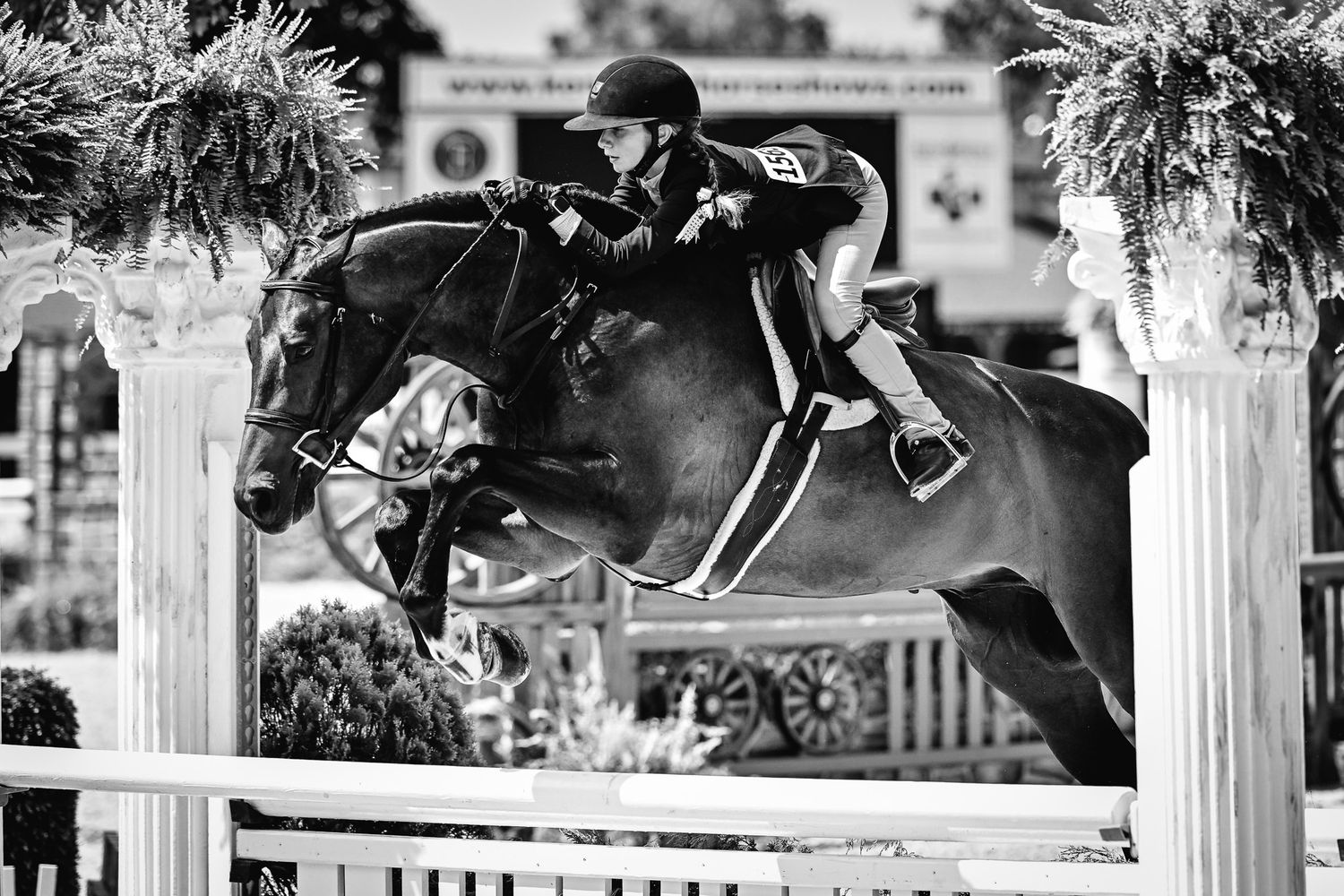 Hunter jumper event coverage at Kentucky Horse Park — private equestrian photographer for riders and barns.