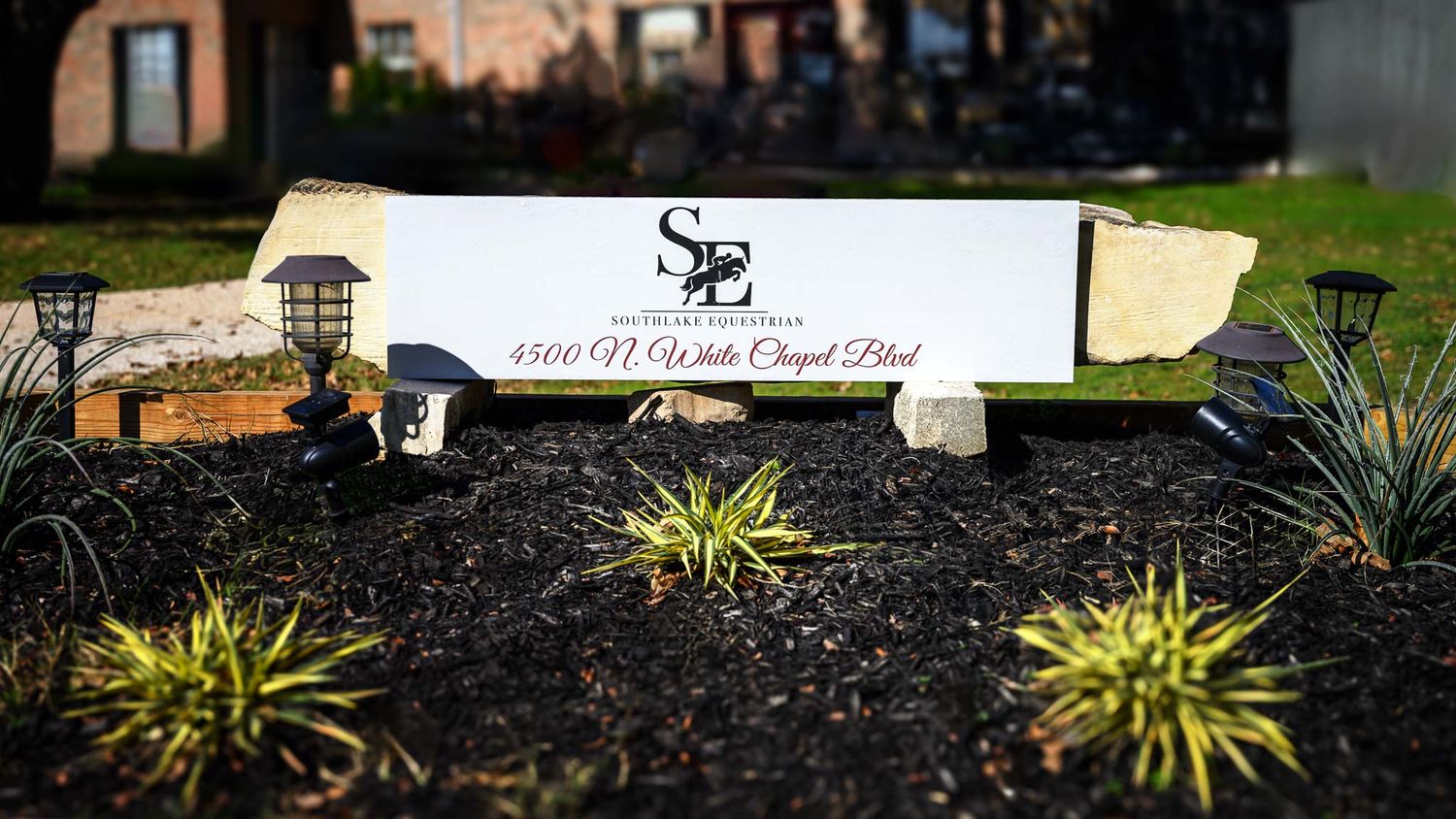 Branding photography for equestrian team promoting barn and services