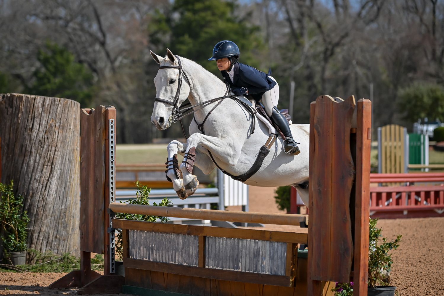Hunter rider and horse clearing a jump during competition at Texas Rose Horse Park
