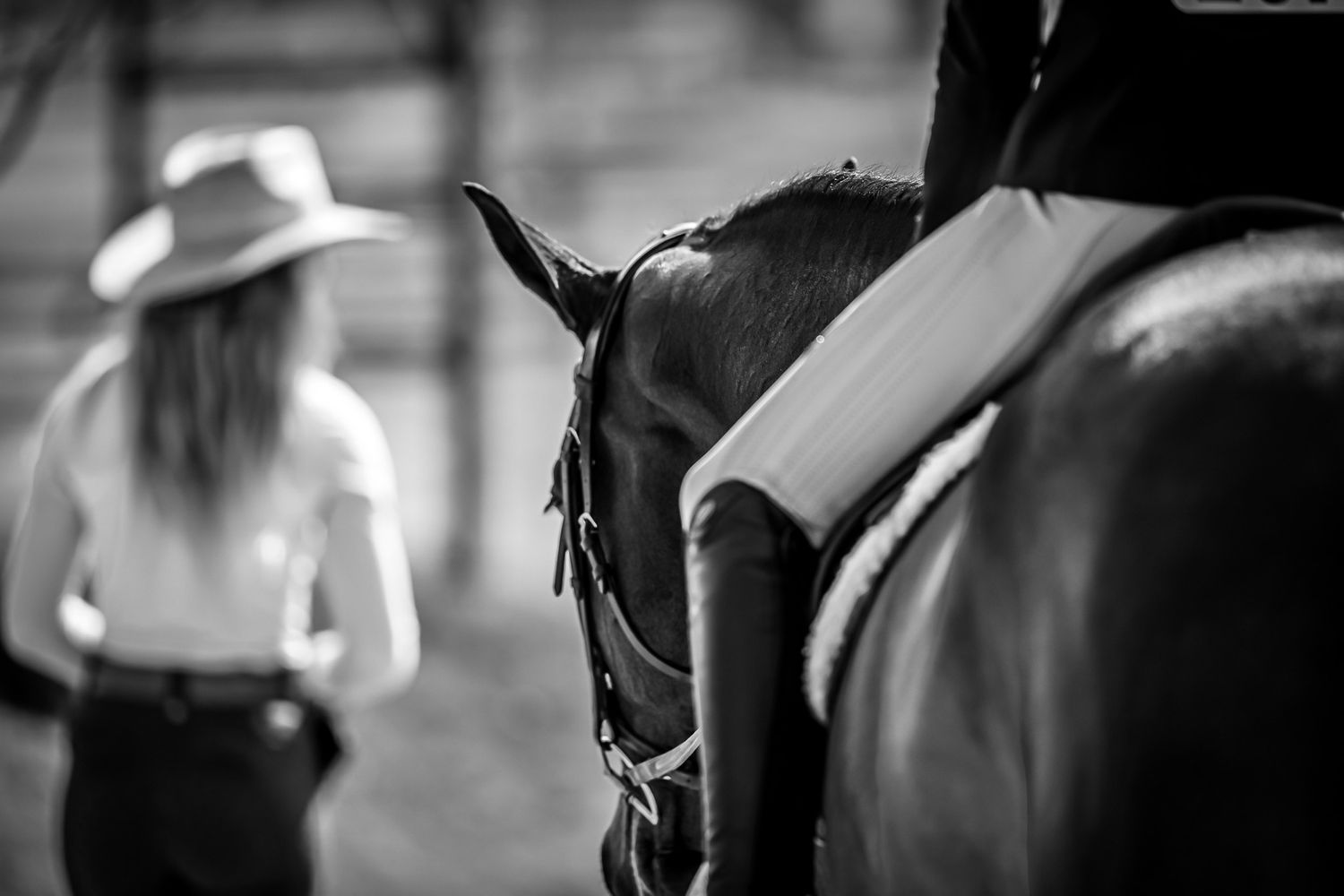 Young equestrian rider focused in the ring during a hunter jumper class taken by Sean Stacey Photography during private show photography.