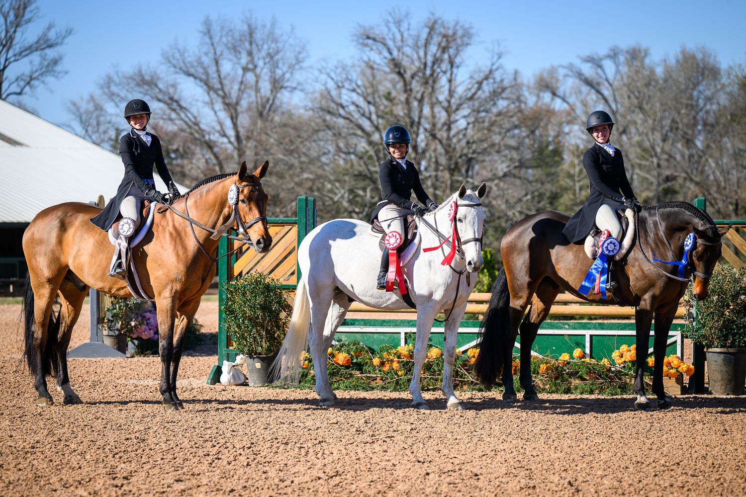 MB Sporthorses celebrates a successful derby class at Texas Rose Horse Park.